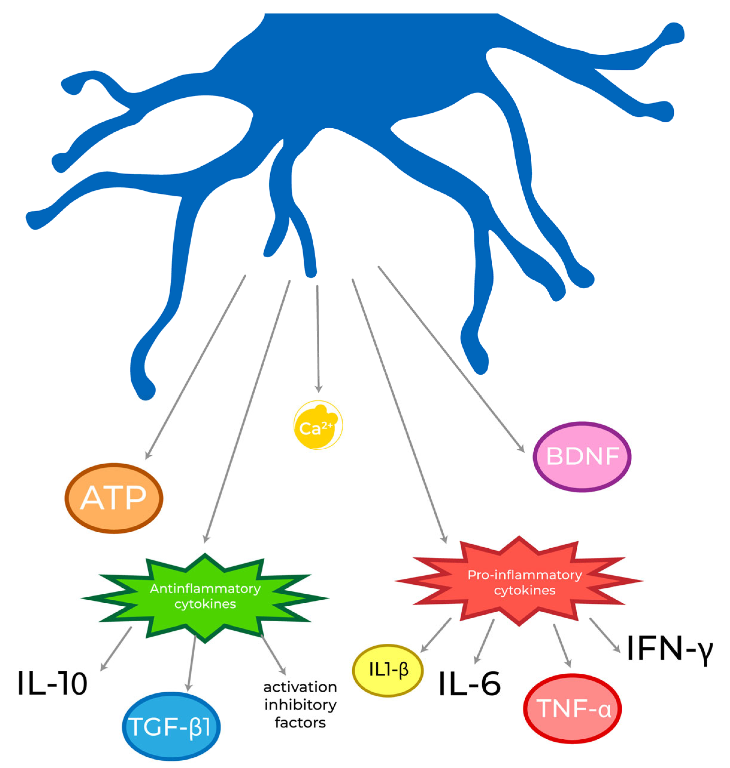 Biomolecules 13 00505 g002