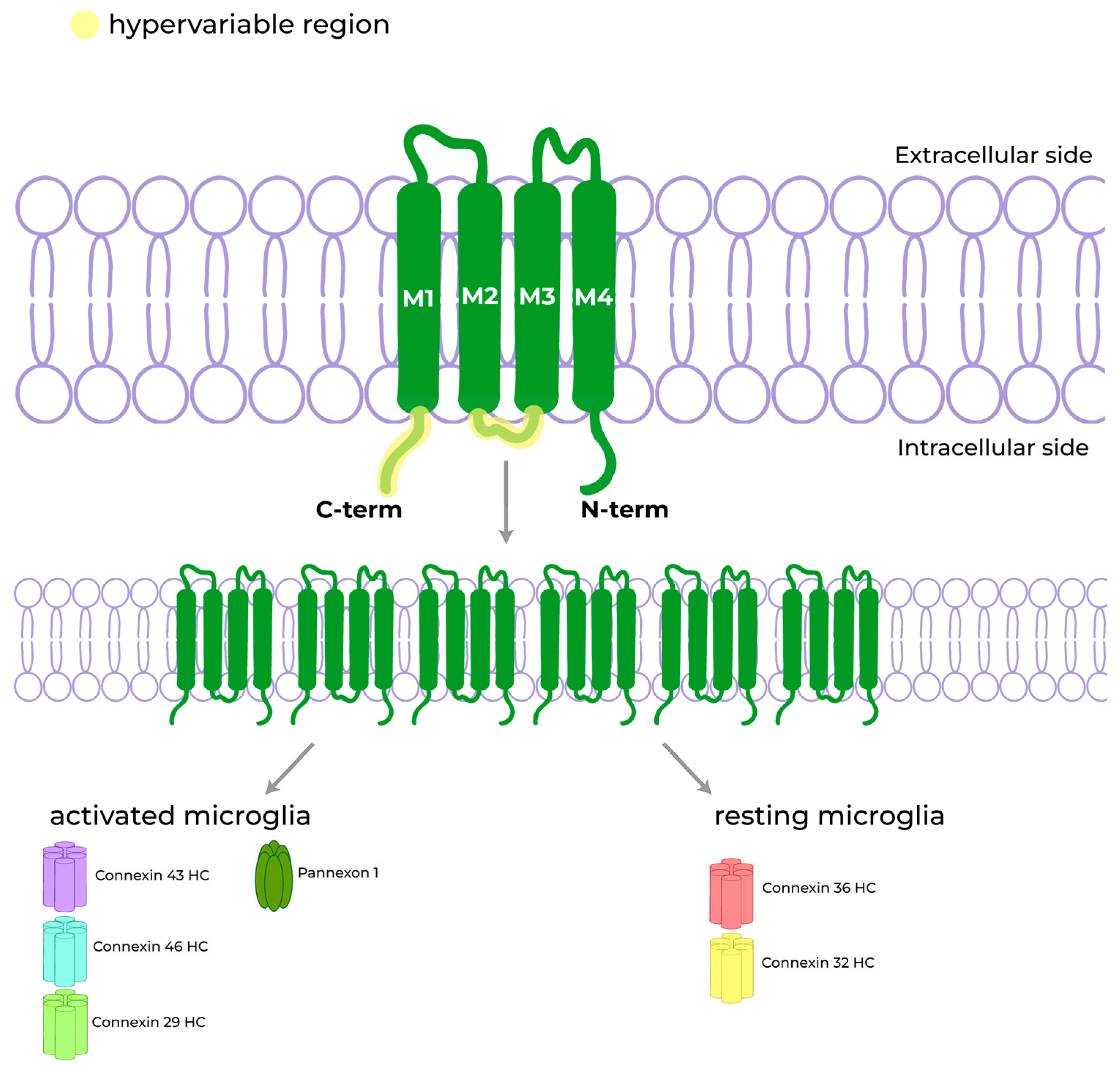 Biomolecules 13 00505 g003