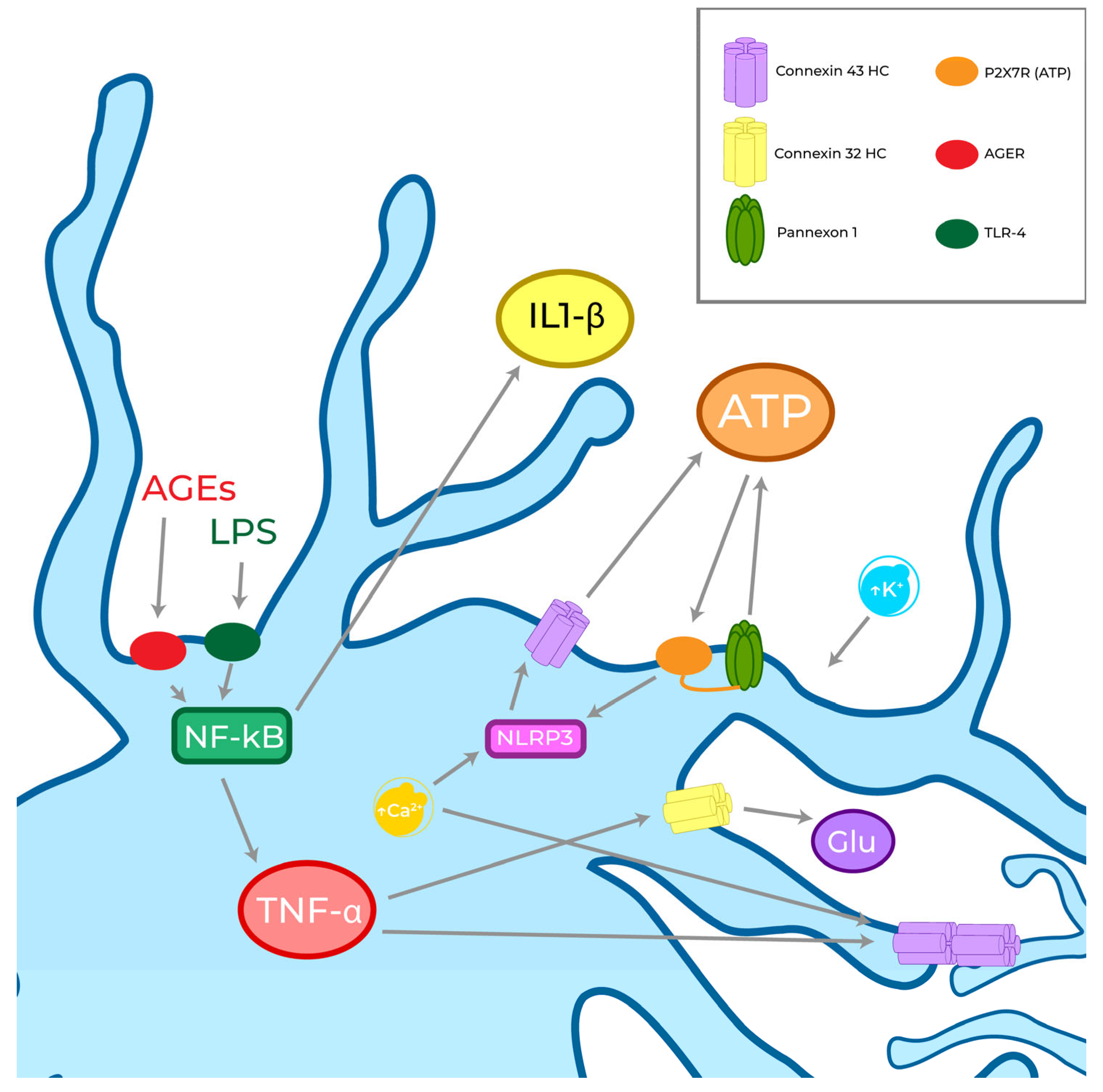 Biomolecules 13 00505 g004