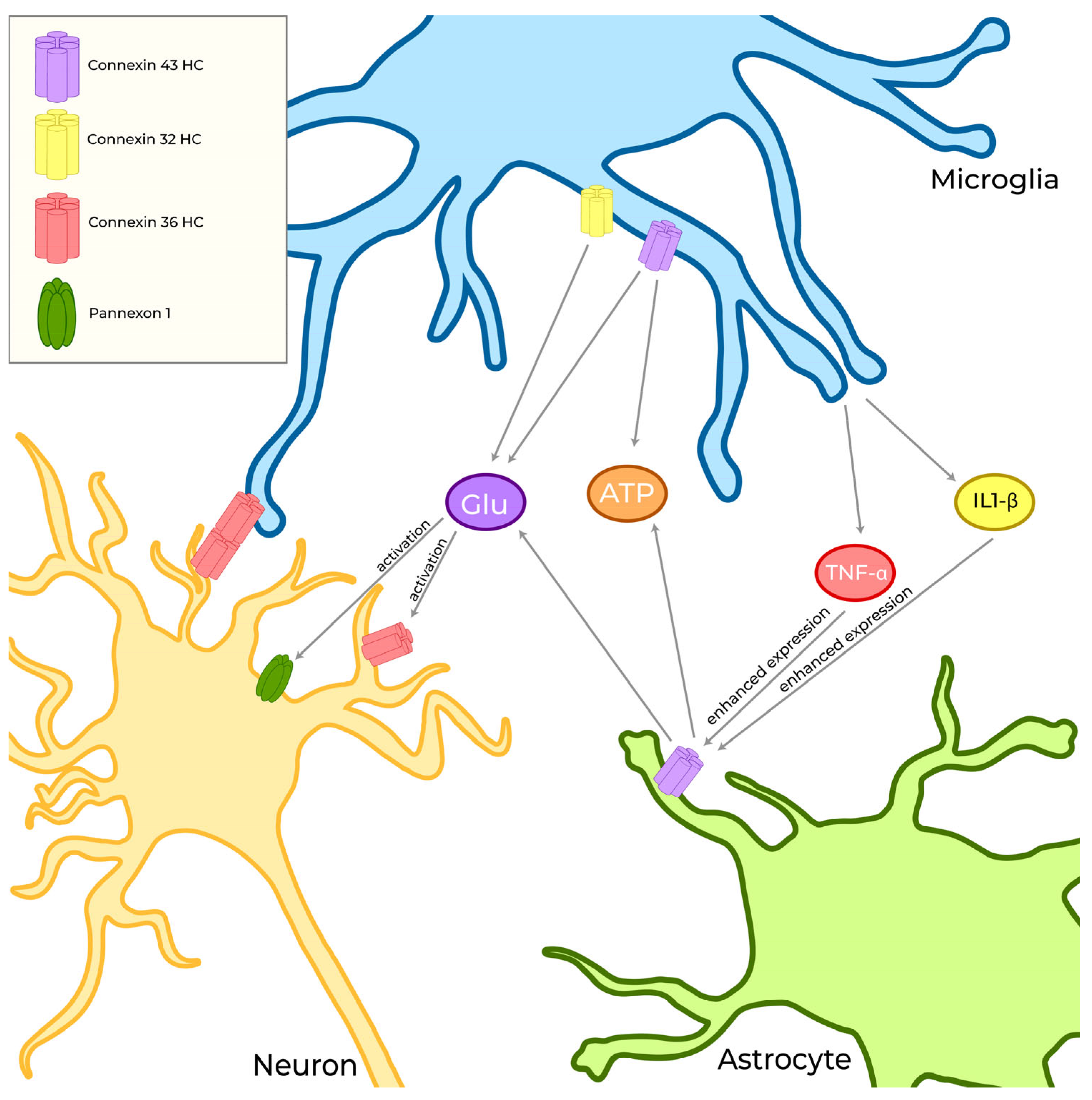 Biomolecules 13 00505 g005