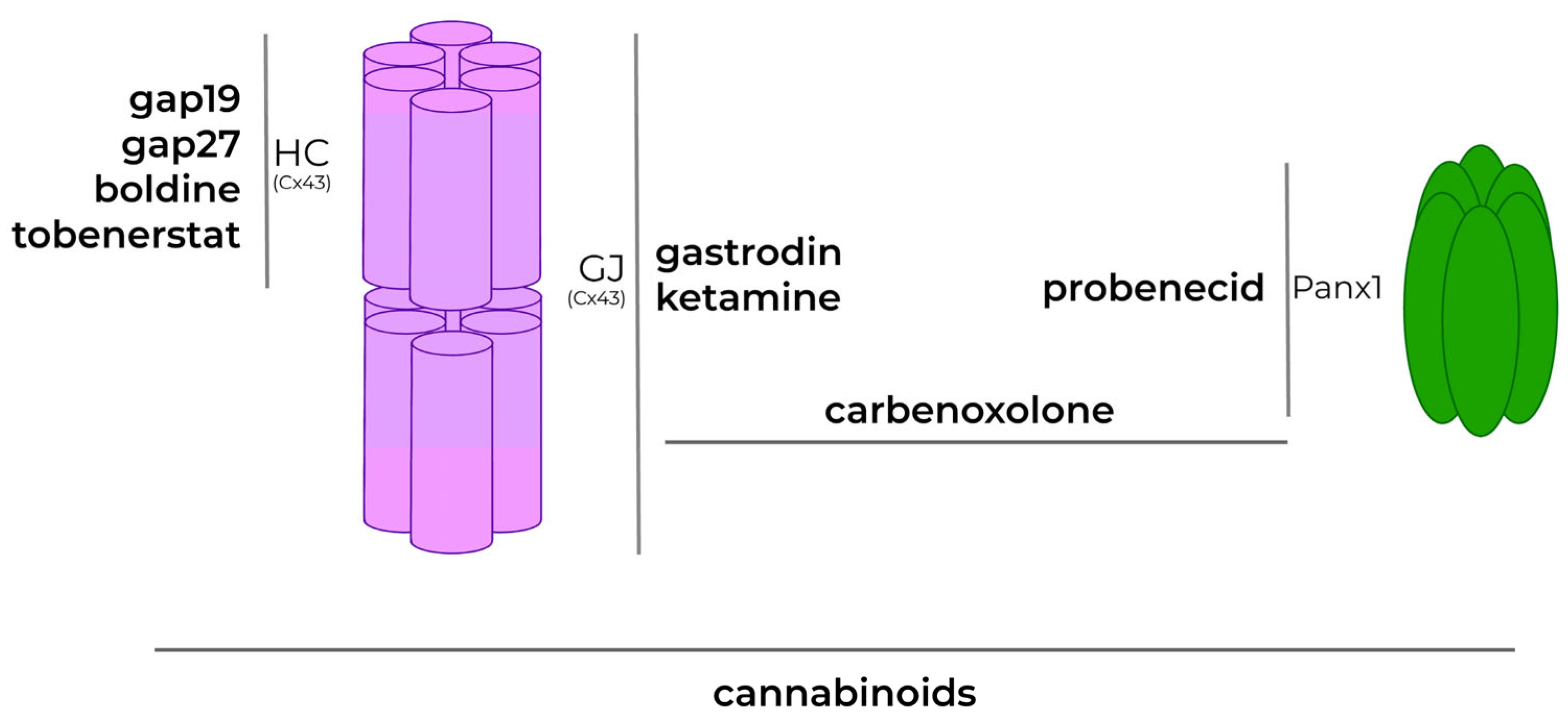 Biomolecules 13 00505 g006