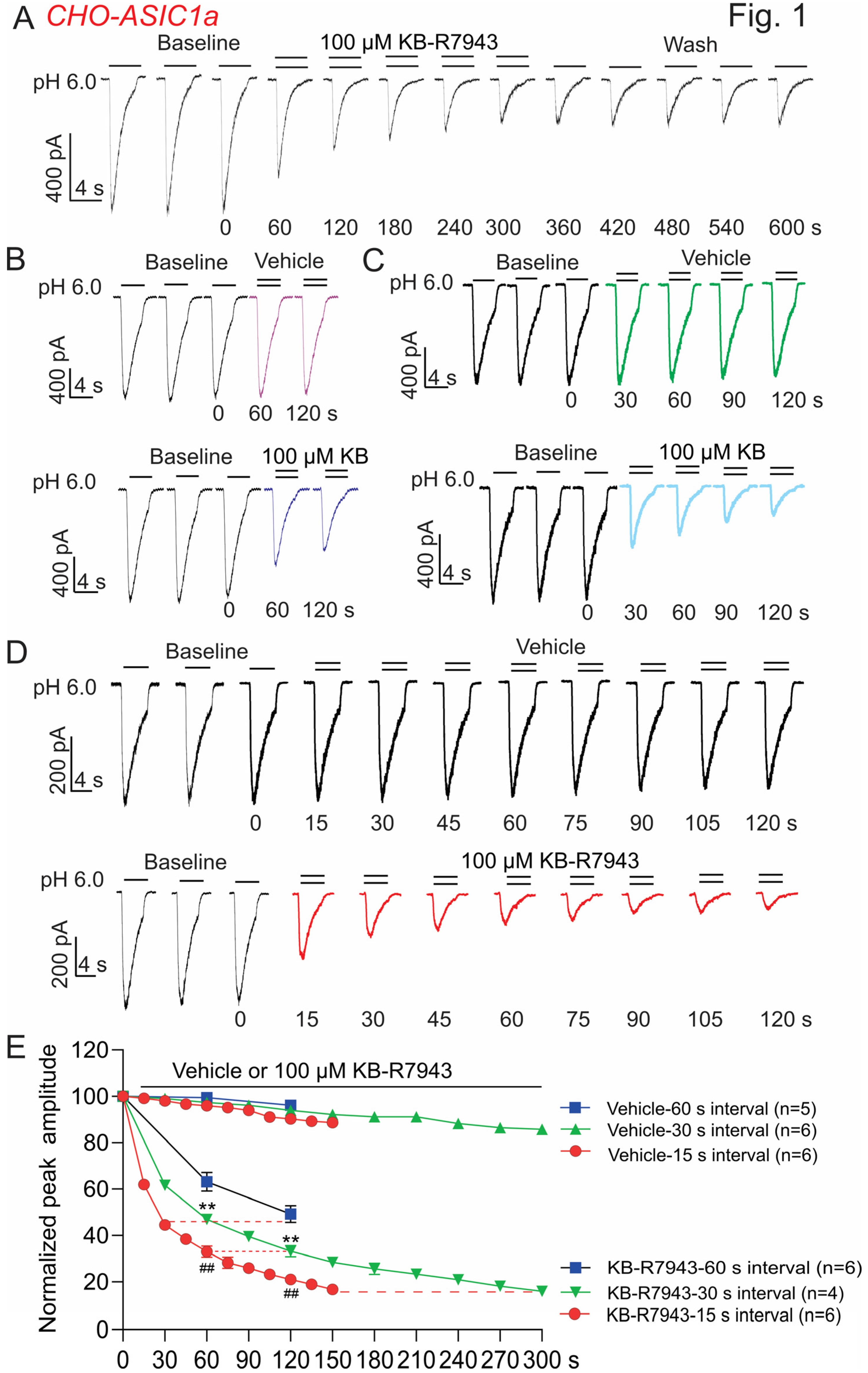 Biomolecules 13 00507 g001 Biomolecules 13 00507 g001
