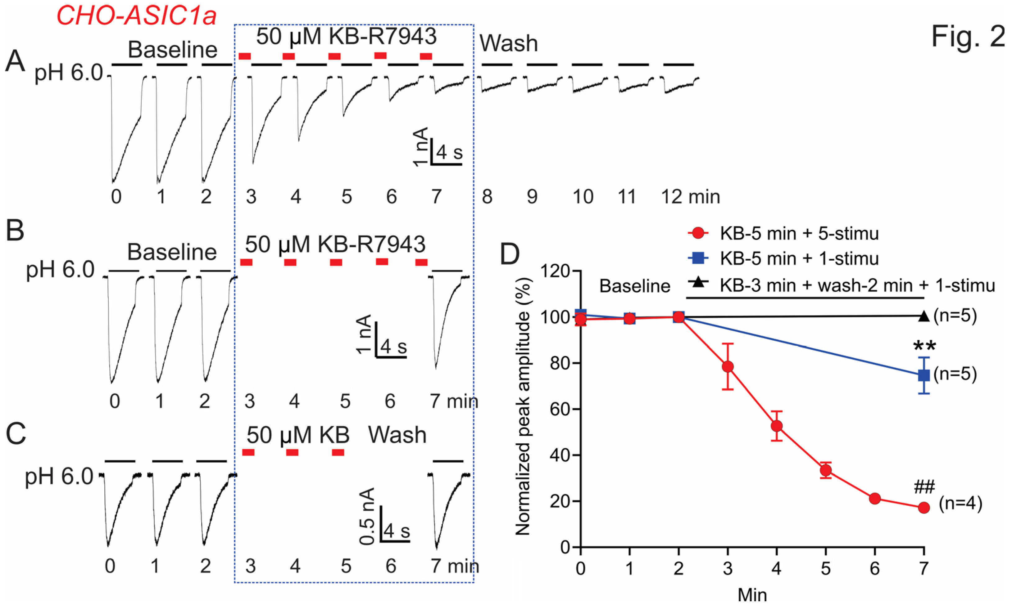 Biomolecules 13 00507 g002 Biomolecules 13 00507 g002