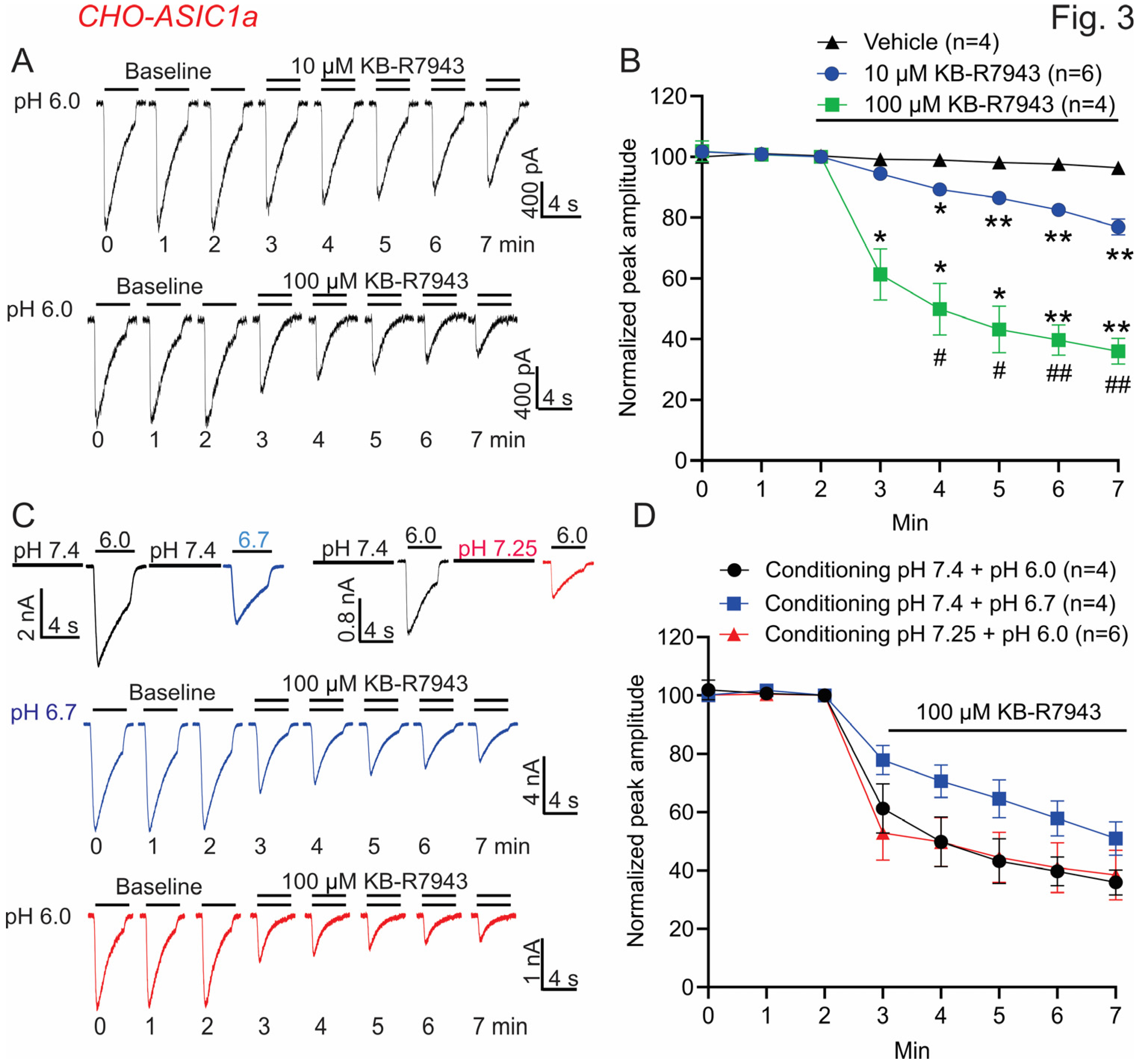 Biomolecules 13 00507 g003 Biomolecules 13 00507 g003