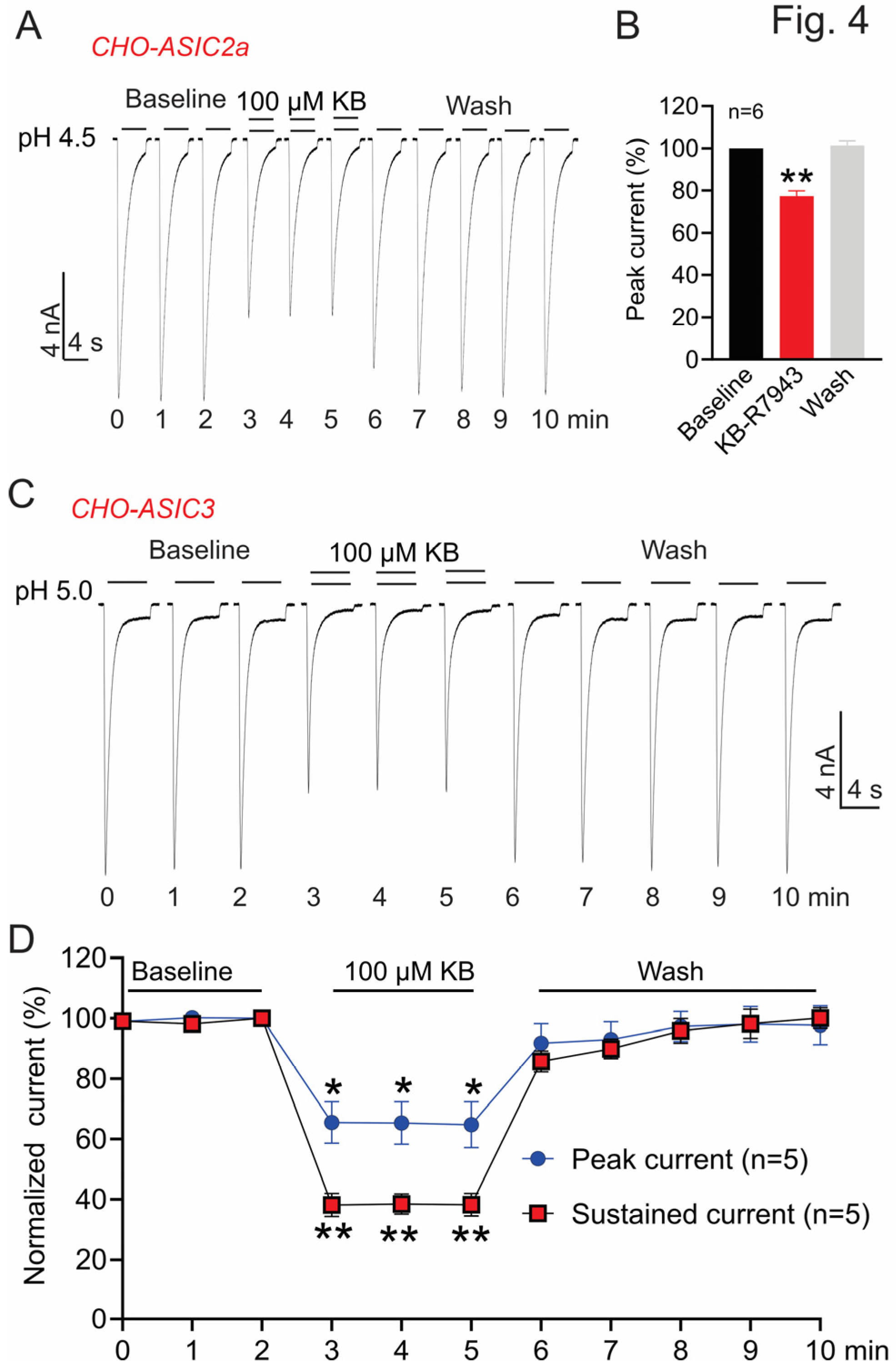 Biomolecules 13 00507 g004 Biomolecules 13 00507 g004