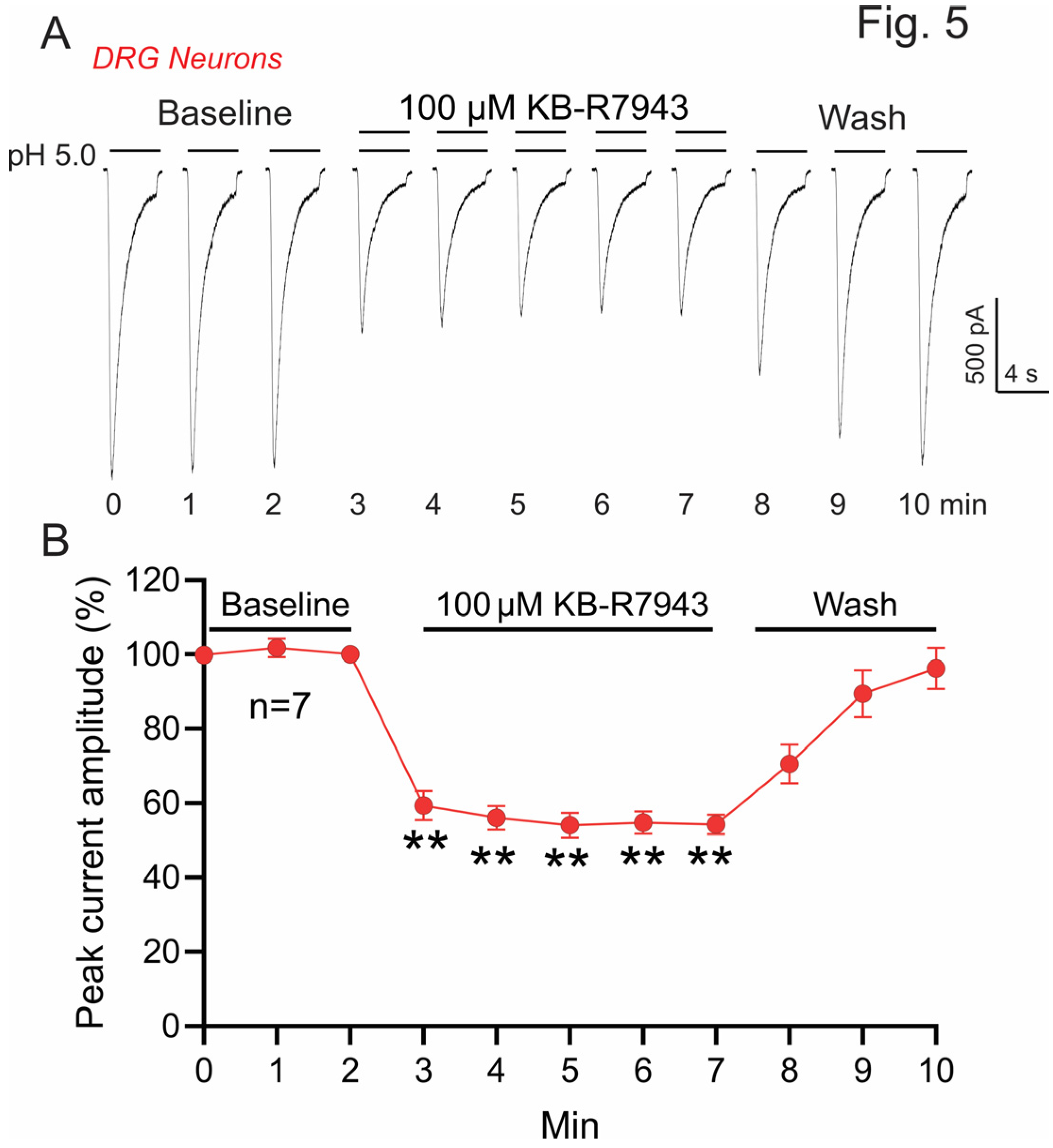 Biomolecules 13 00507 g005 Biomolecules 13 00507 g005