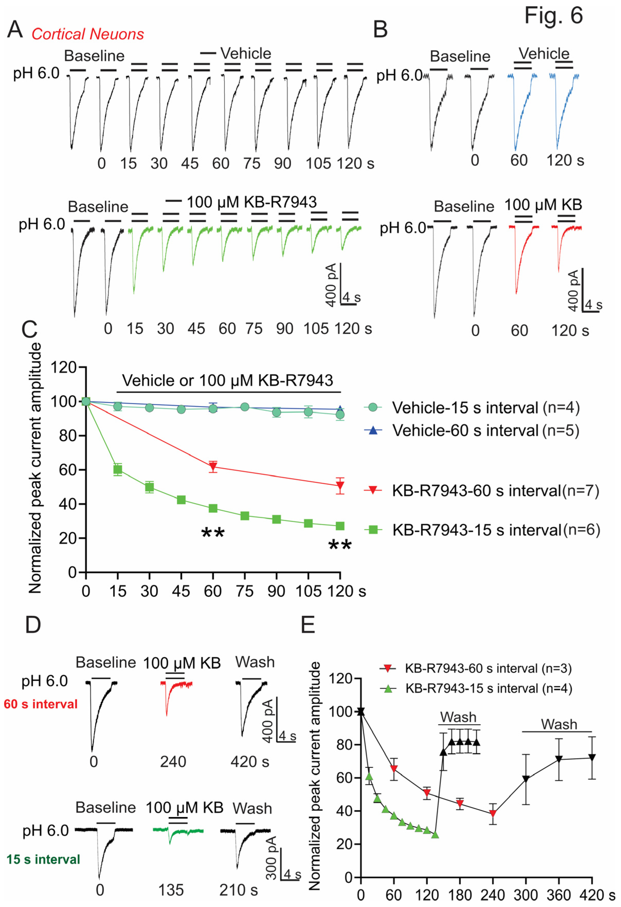 Biomolecules 13 00507 g006 Biomolecules 13 00507 g006