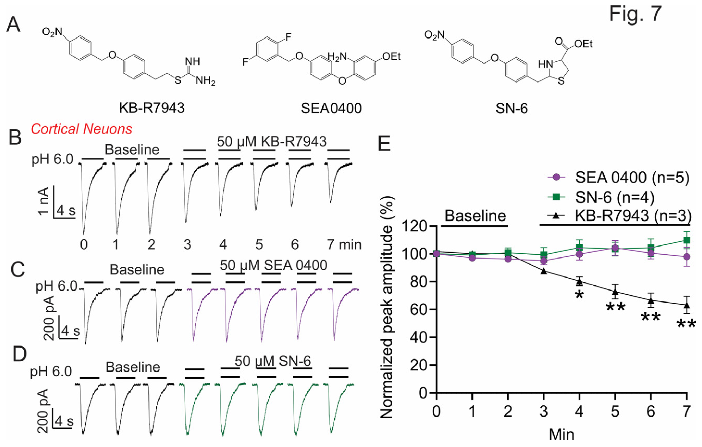 Biomolecules 13 00507 g007 Biomolecules 13 00507 g007
