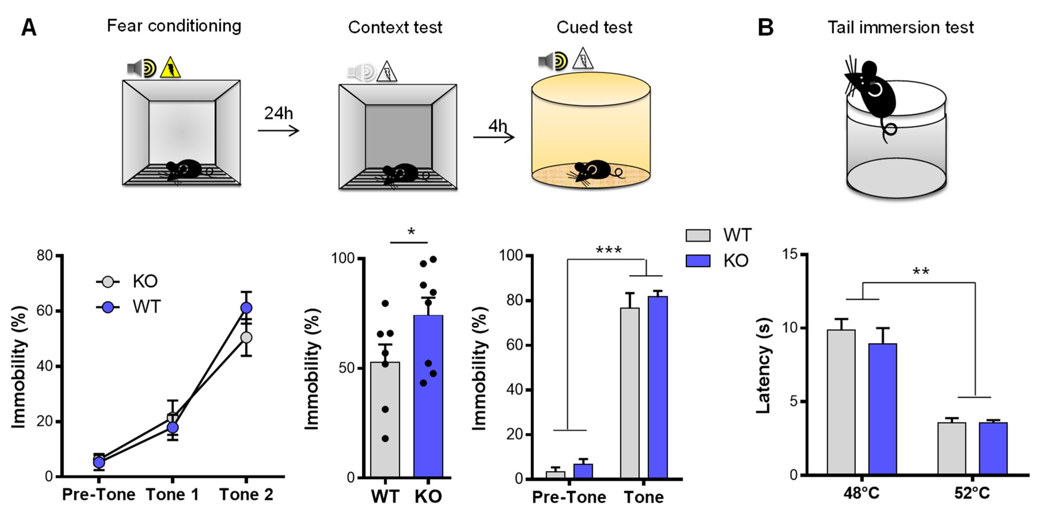 Biomolecules 13 00511 g002