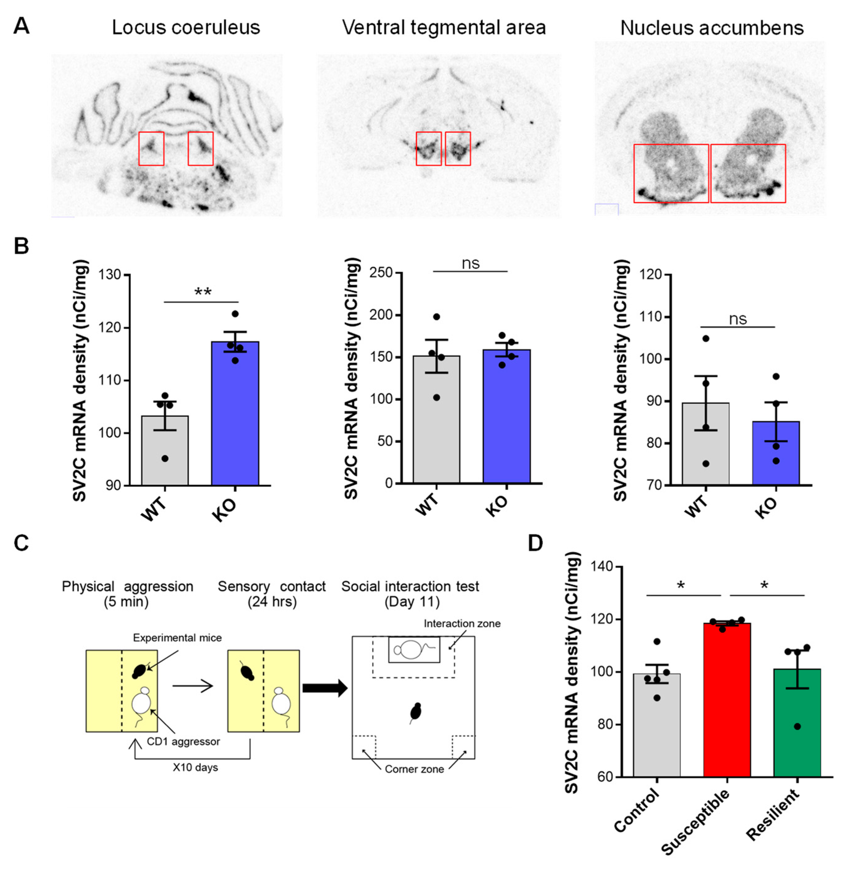Biomolecules 13 00511 g010