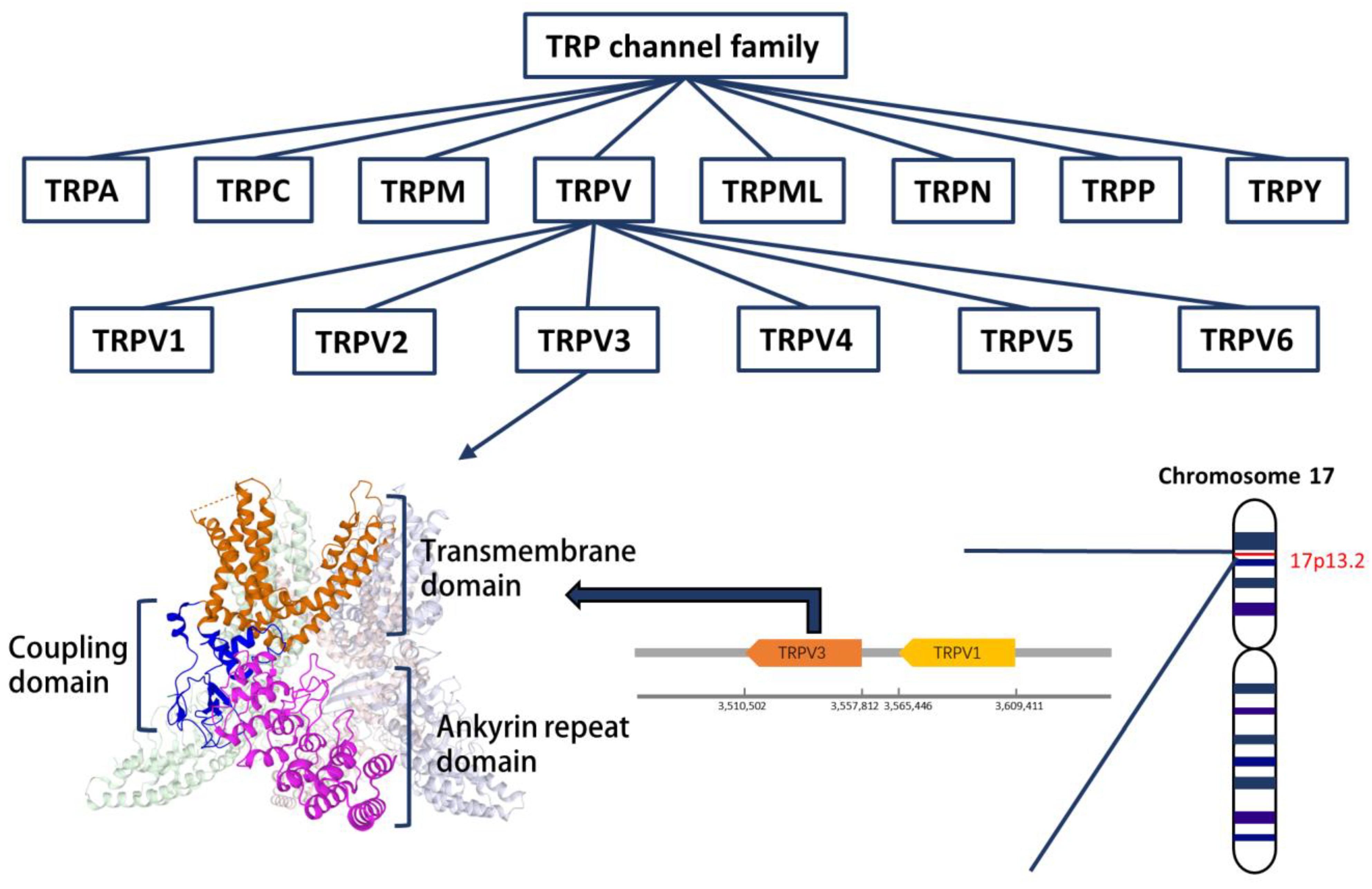 Biomolecules 13 00513 g001