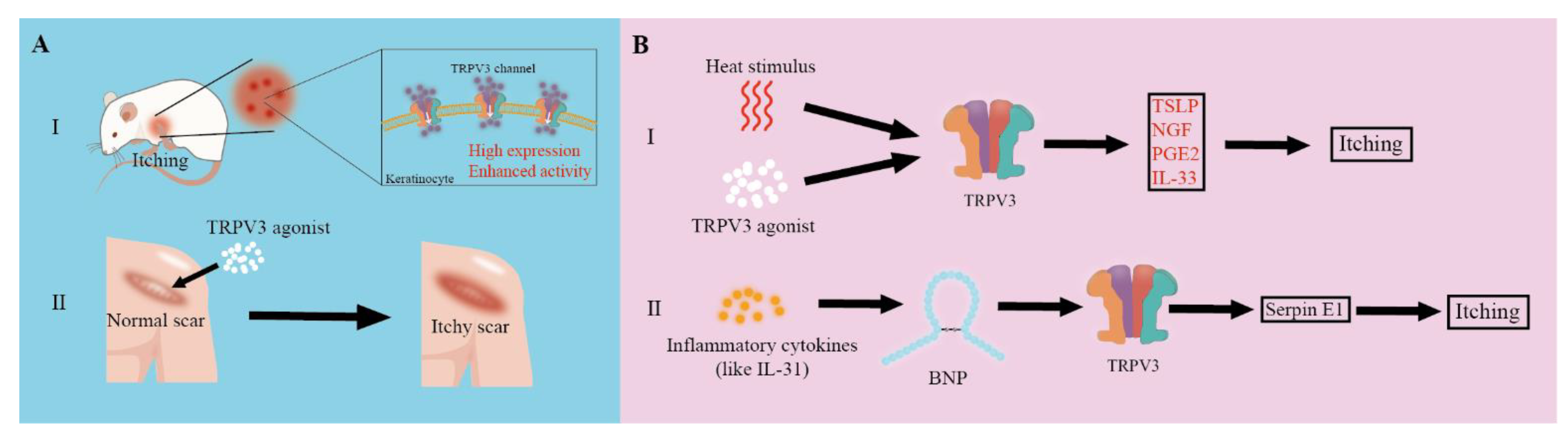 Biomolecules 13 00513 g002