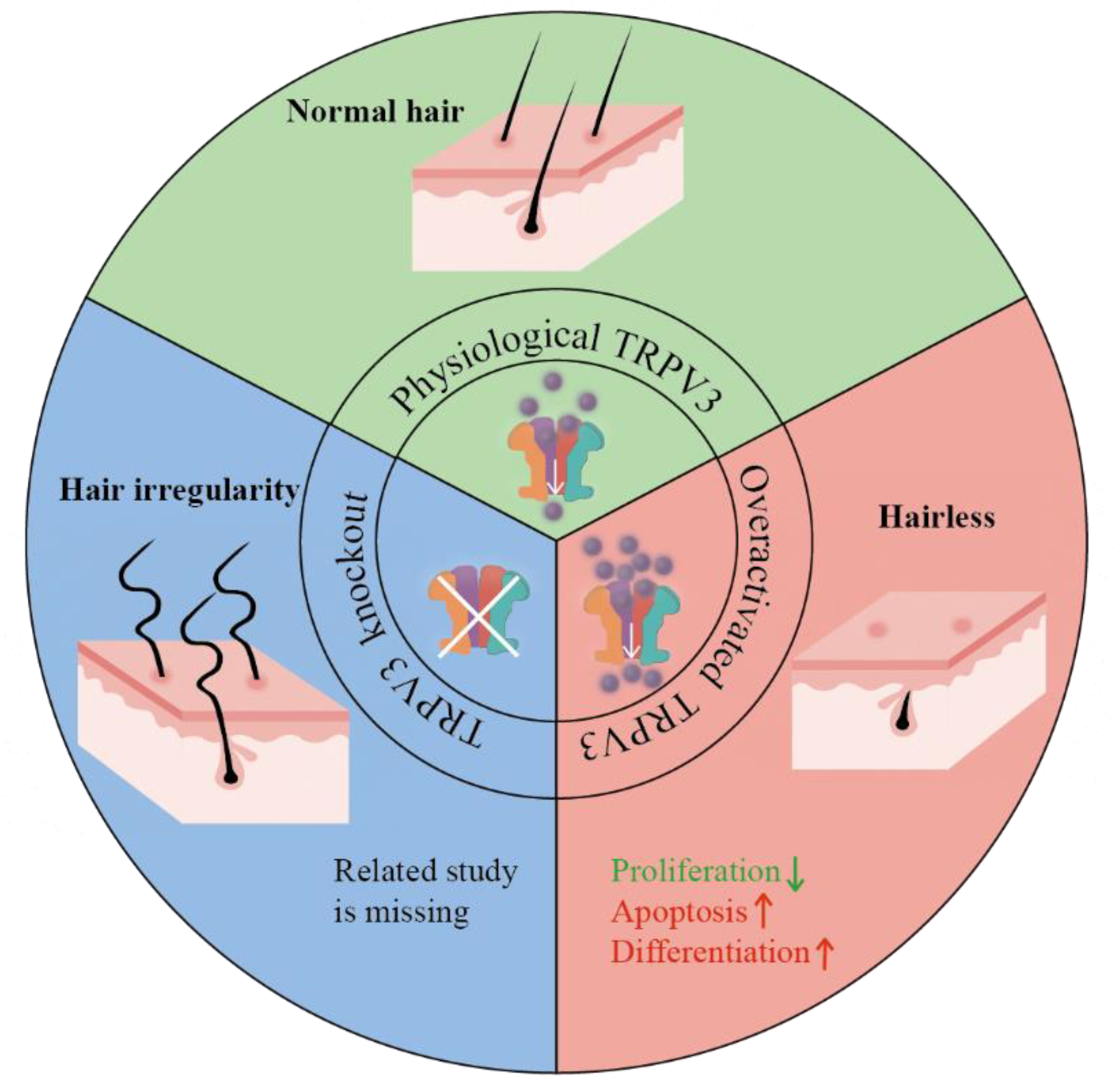Biomolecules 13 00513 g003