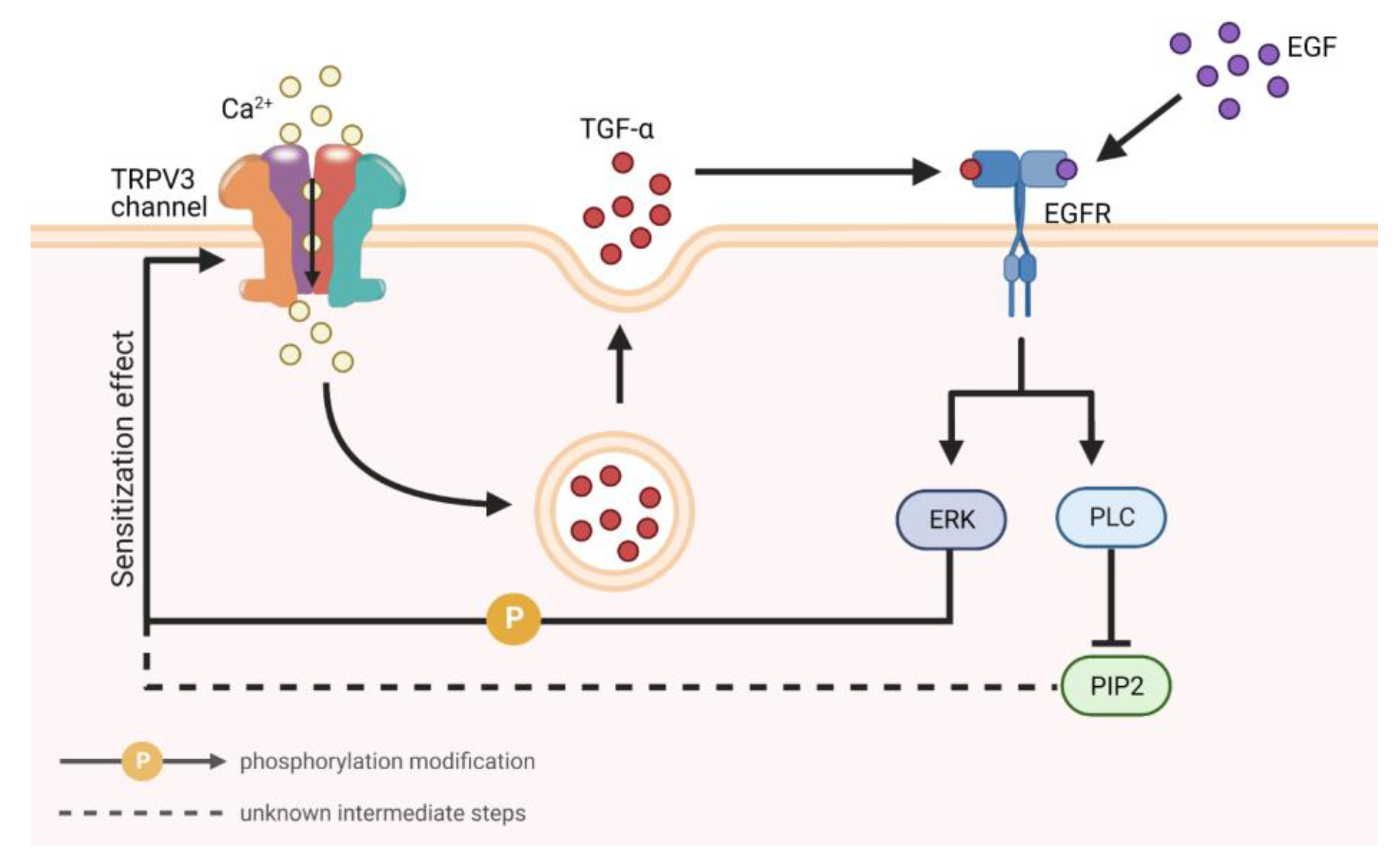 Biomolecules 13 00513 g004