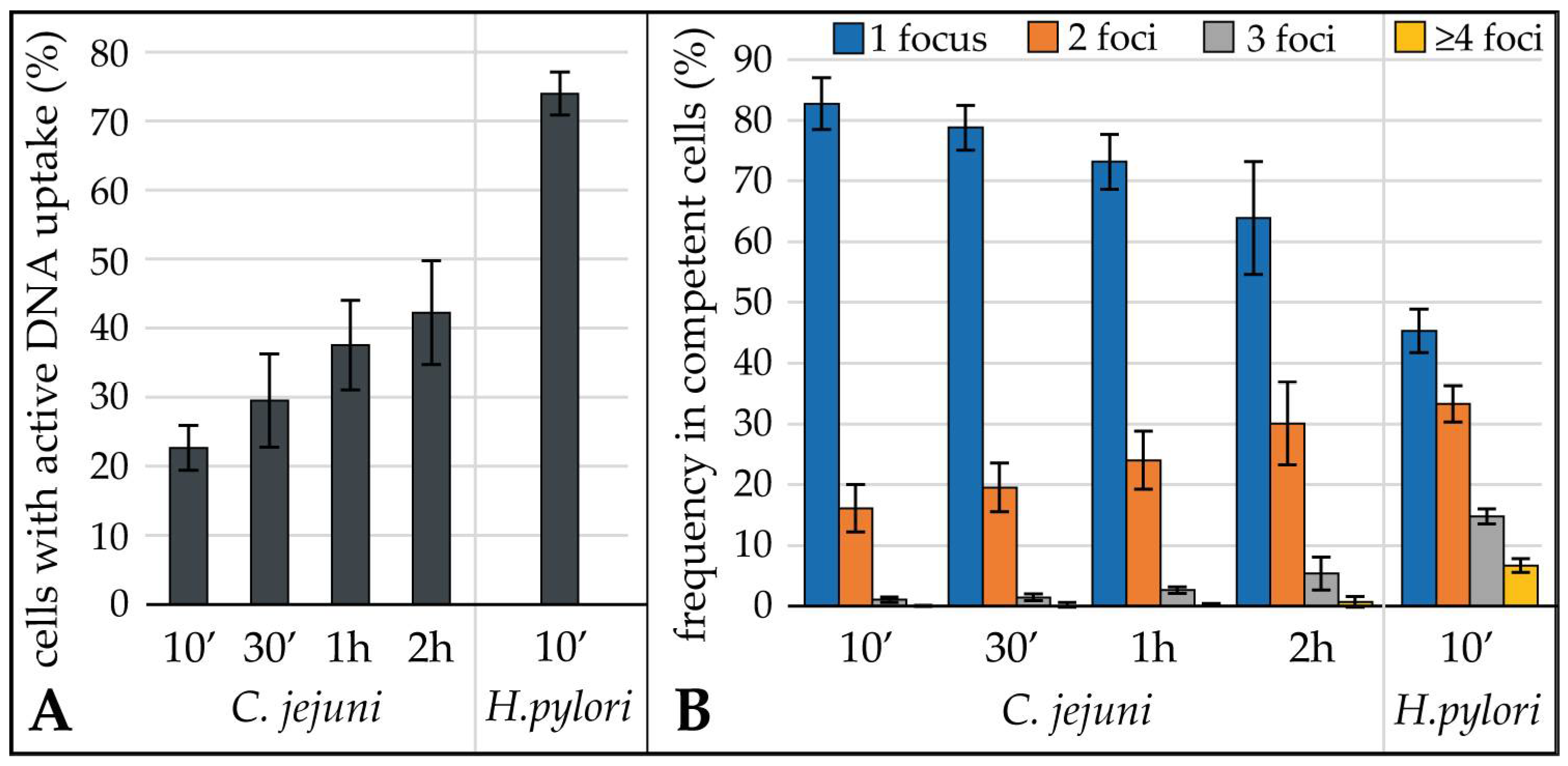 Biomolecules 13 00514 g002