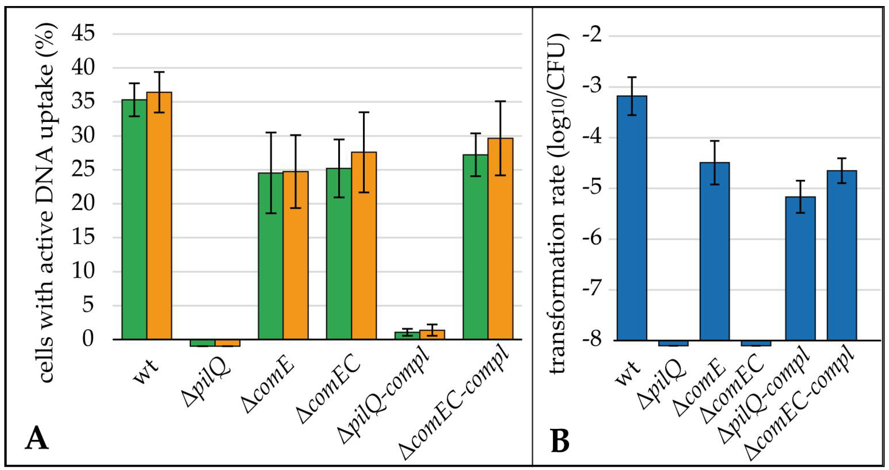 Biomolecules 13 00514 g004