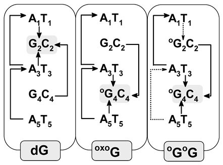 Biomolecules 13 00517 i002