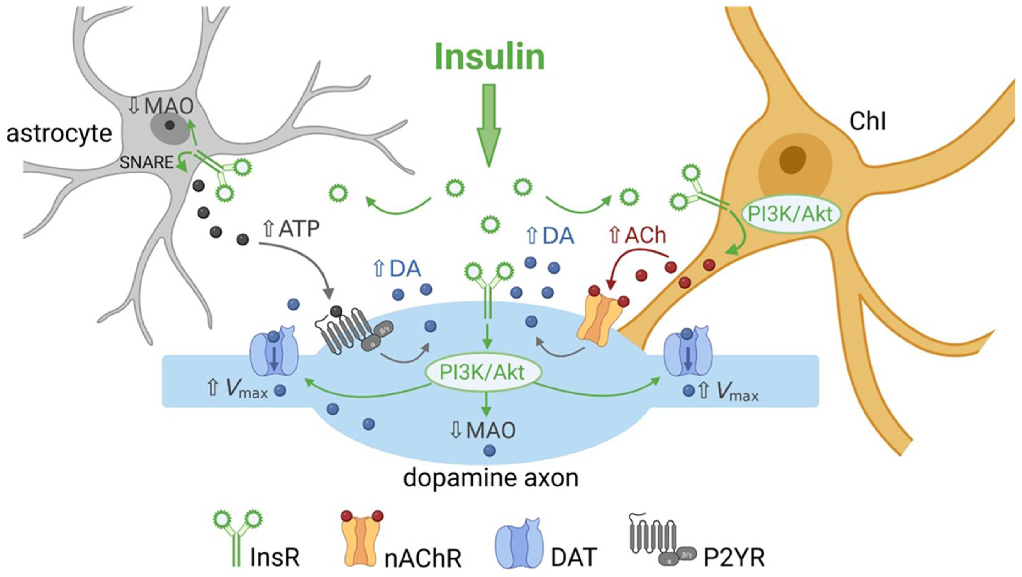 Biomolecules 13 00518 g002