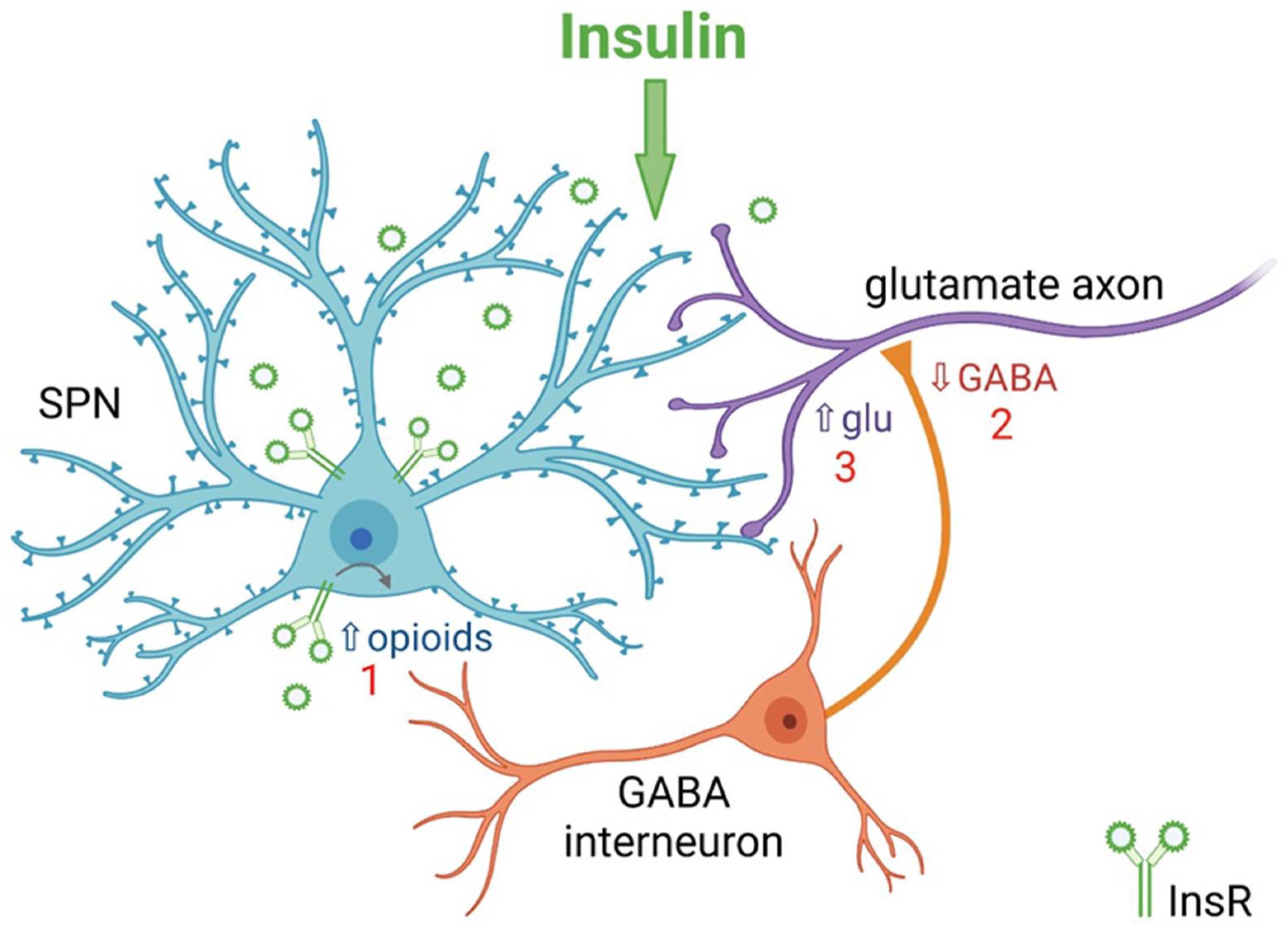 Biomolecules 13 00518 g003