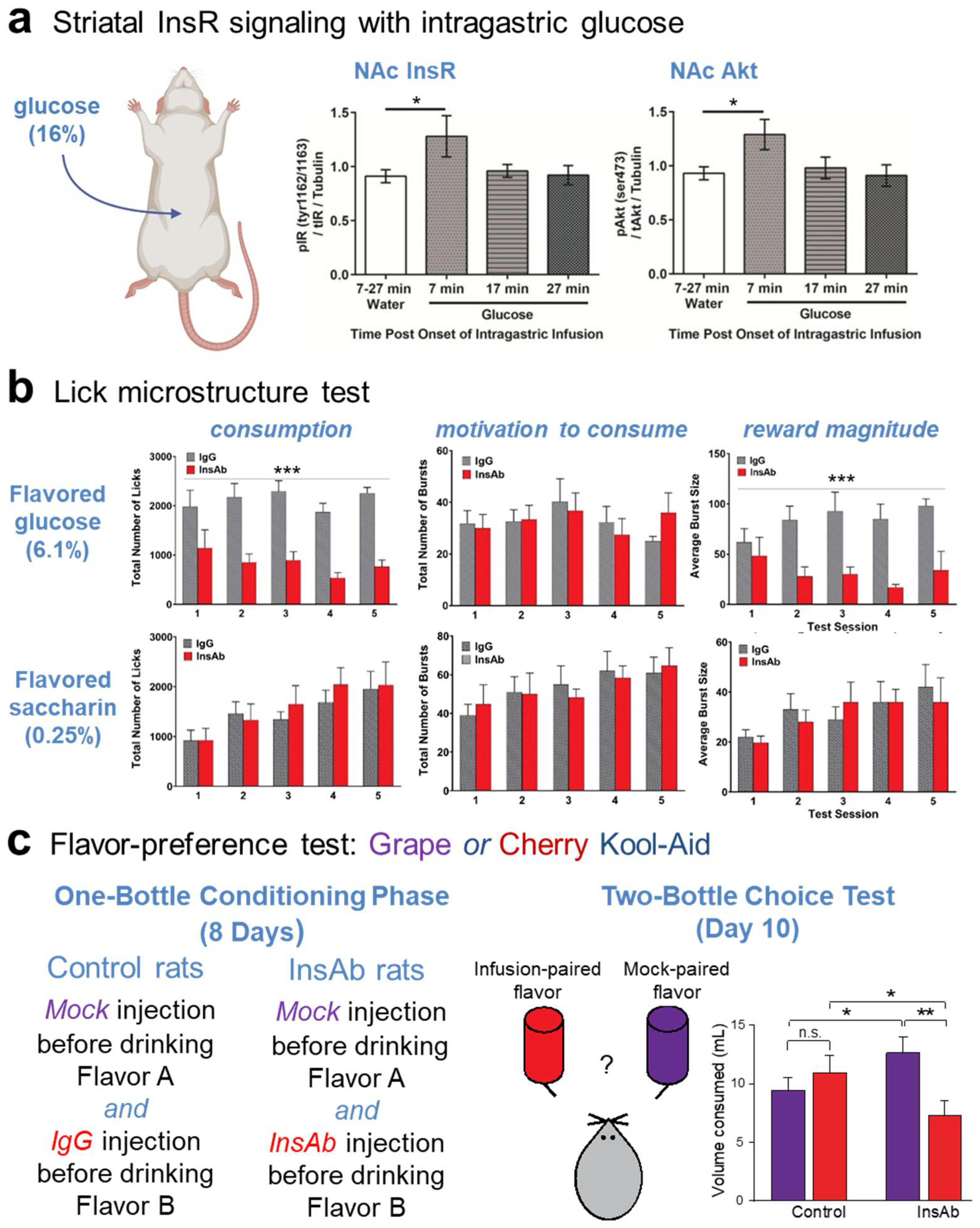 Biomolecules 13 00518 g004