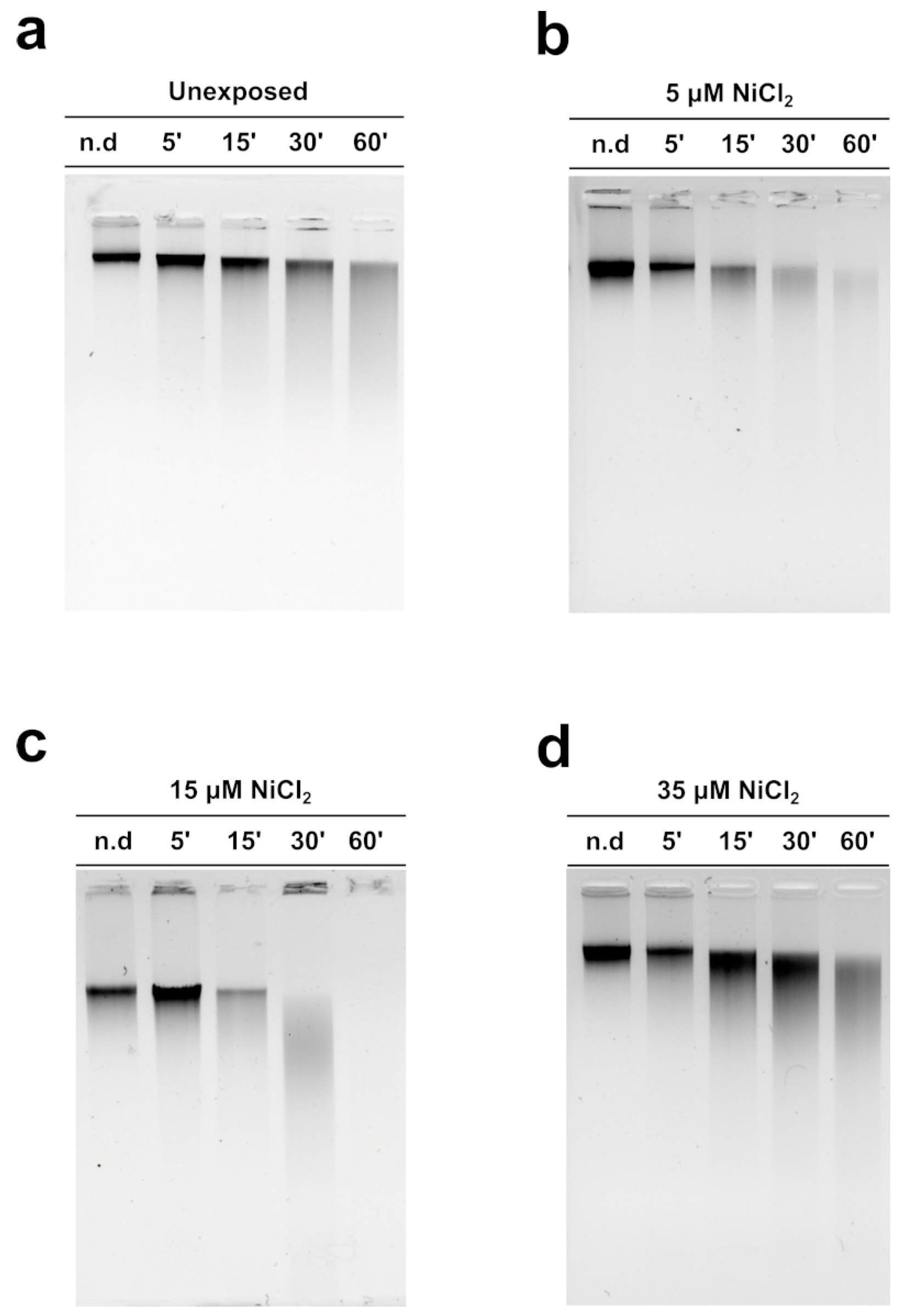 Biomolecules 13 00520 g005