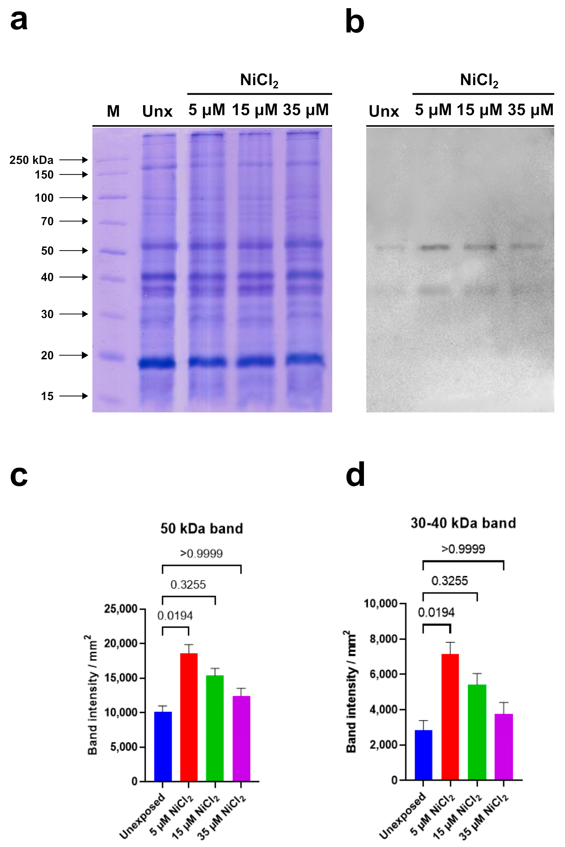Biomolecules 13 00520 g006
