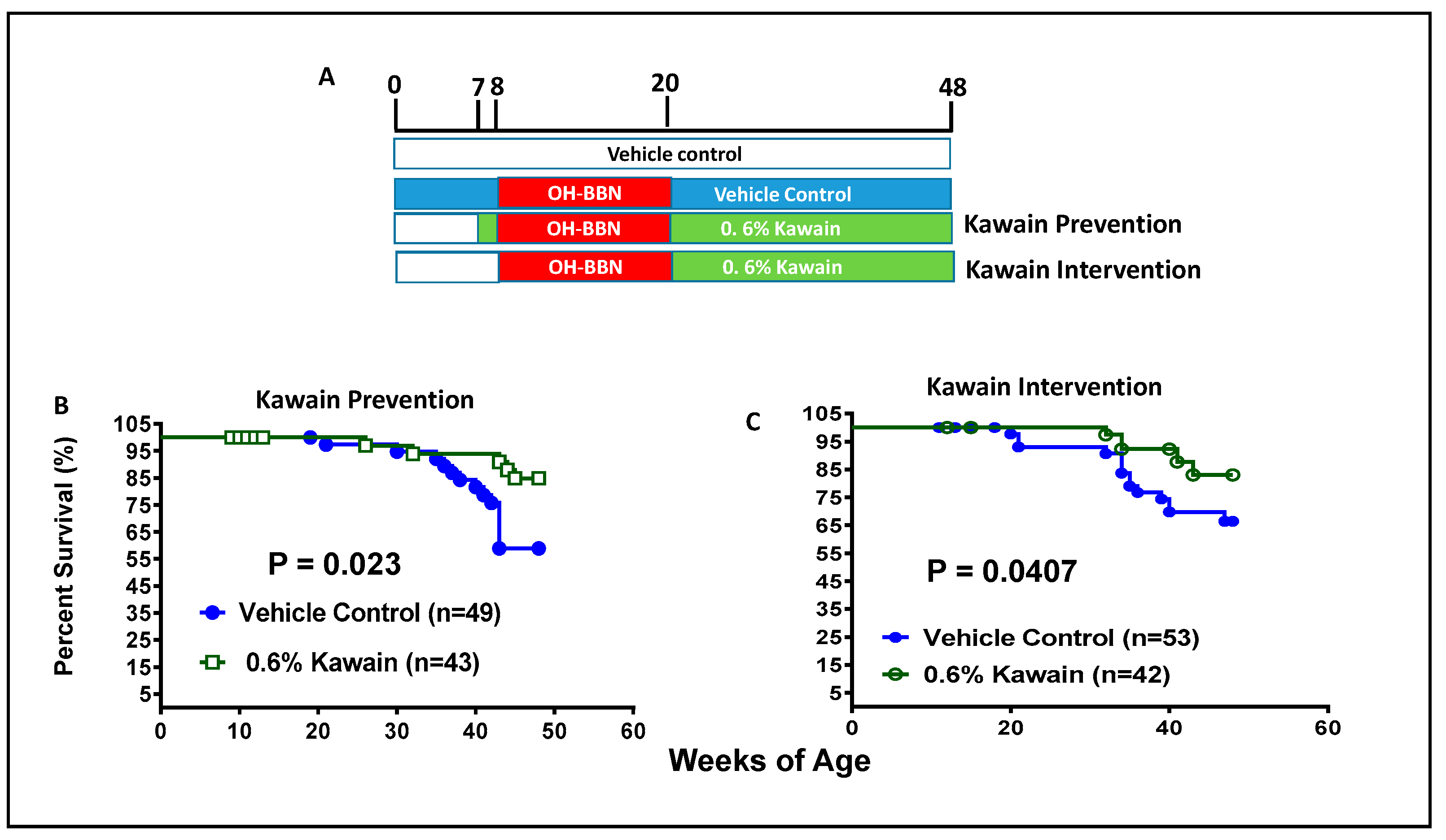 Biomolecules 13 00521 g001
