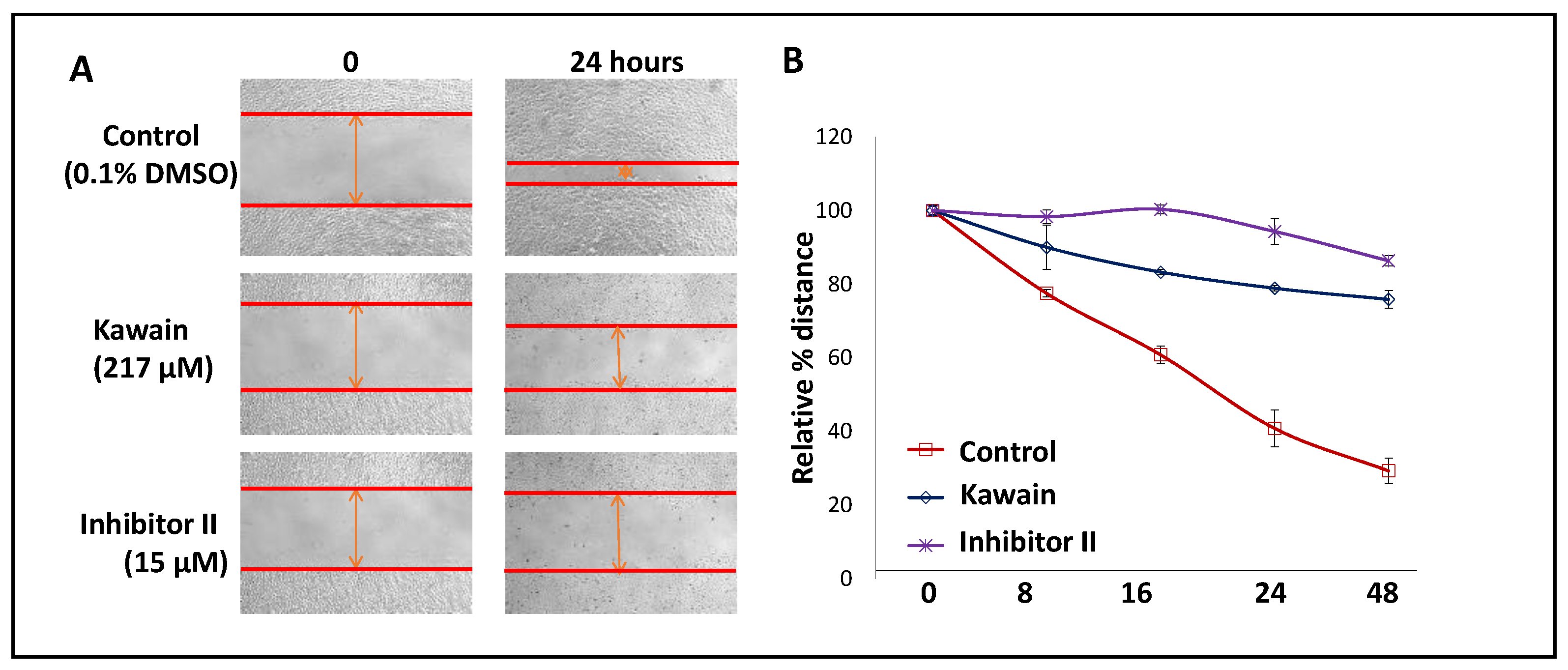 Biomolecules 13 00521 g007
