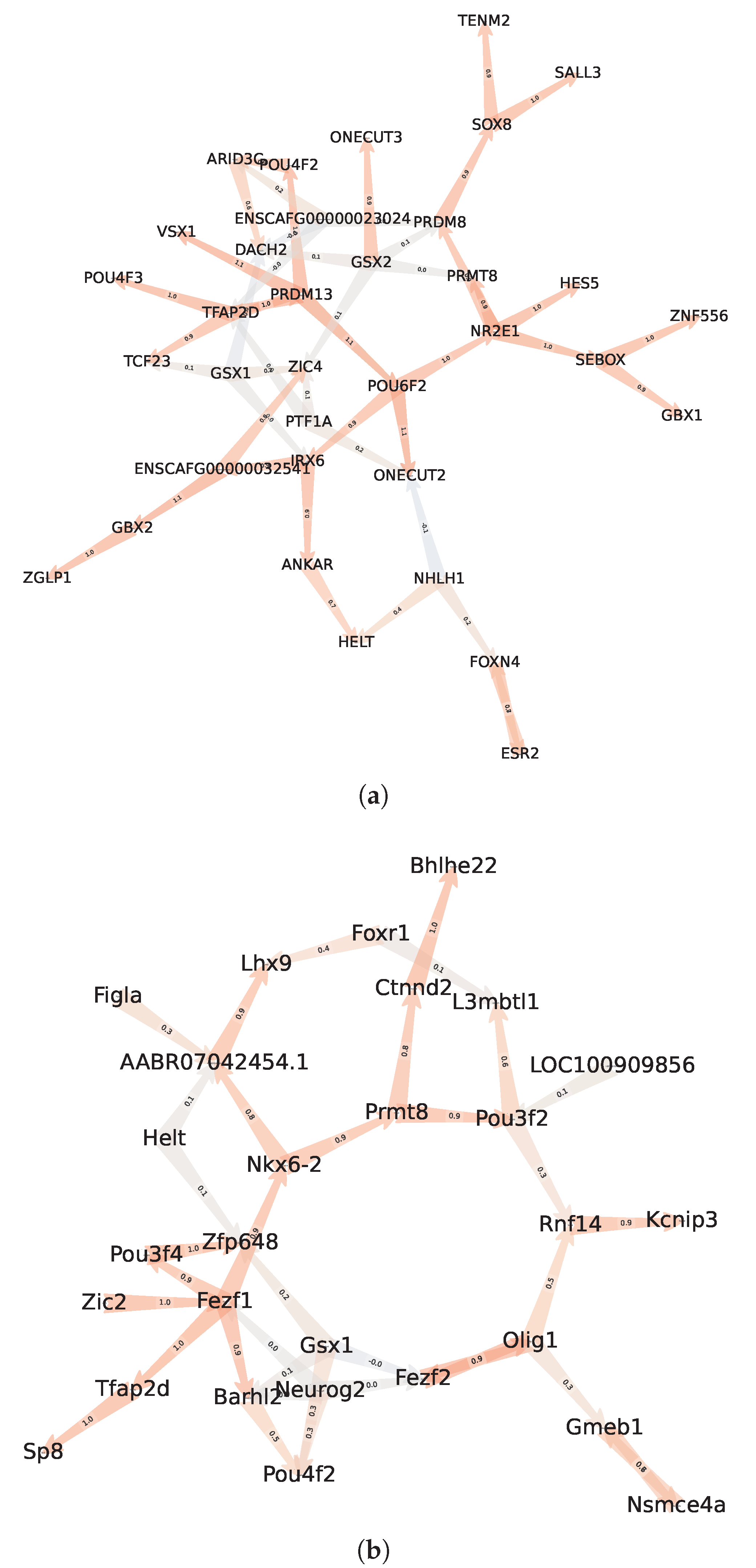 Biomolecules 13 00526 g010