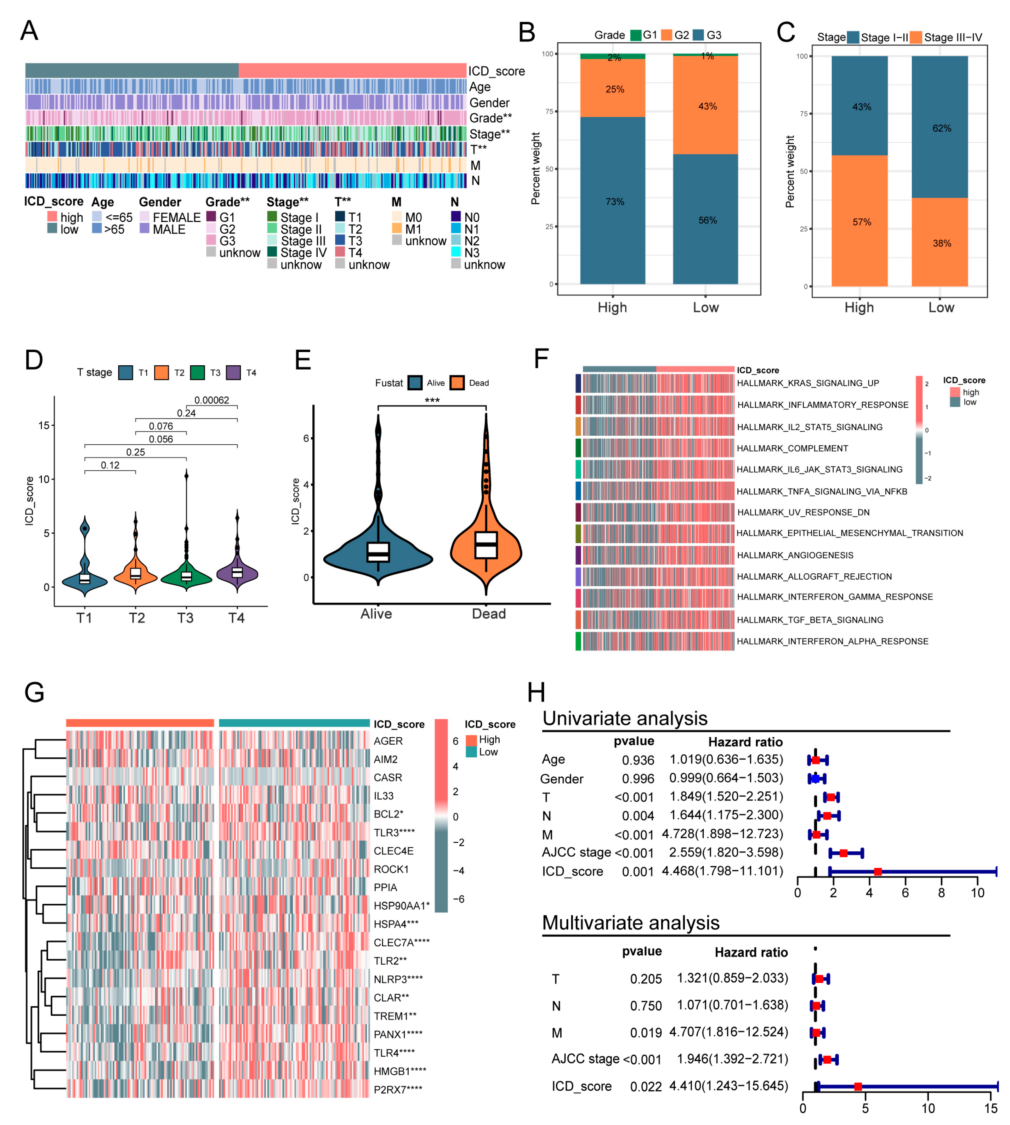 Biomolecules 13 00528 g006