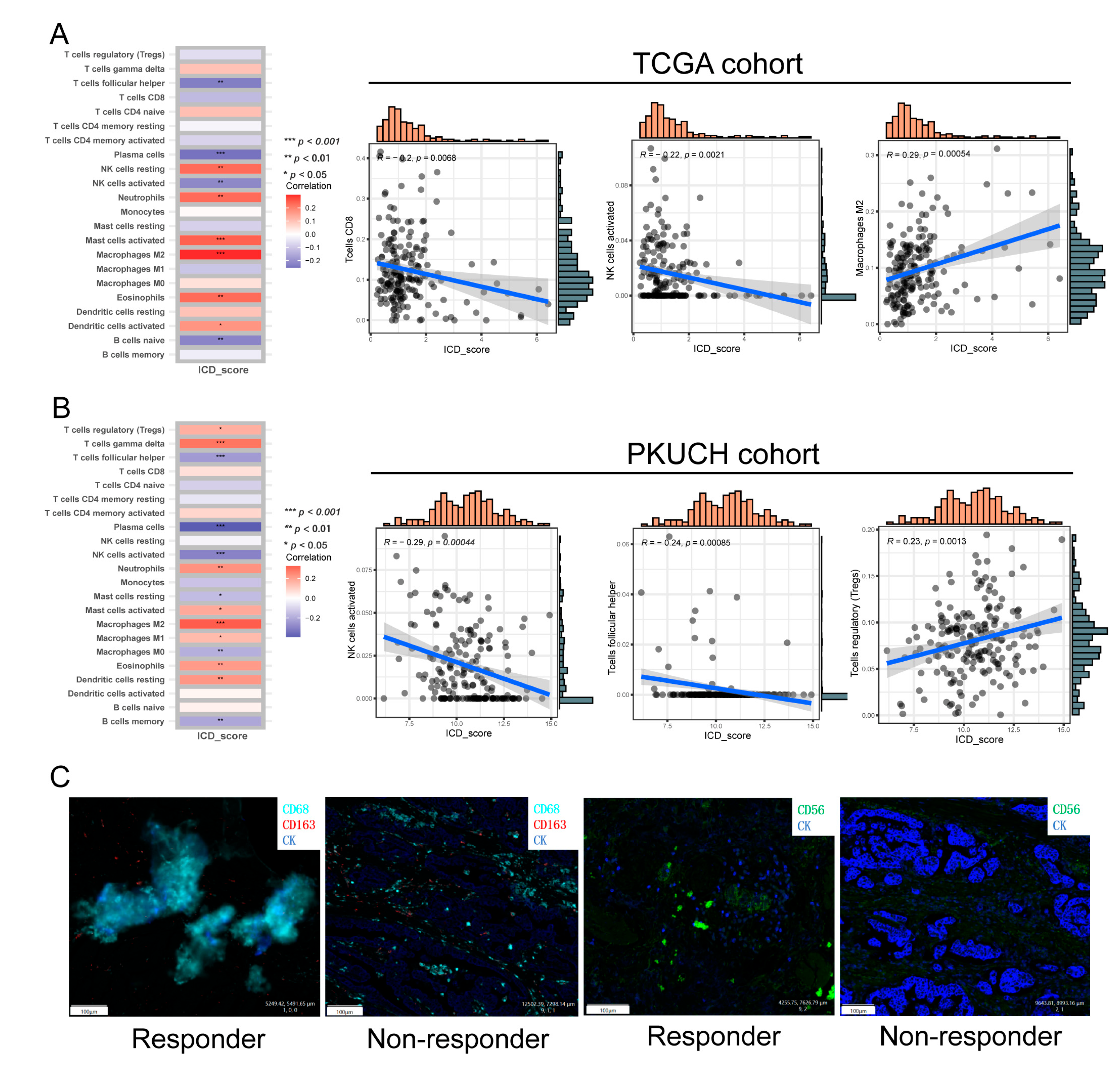 Biomolecules 13 00528 g007