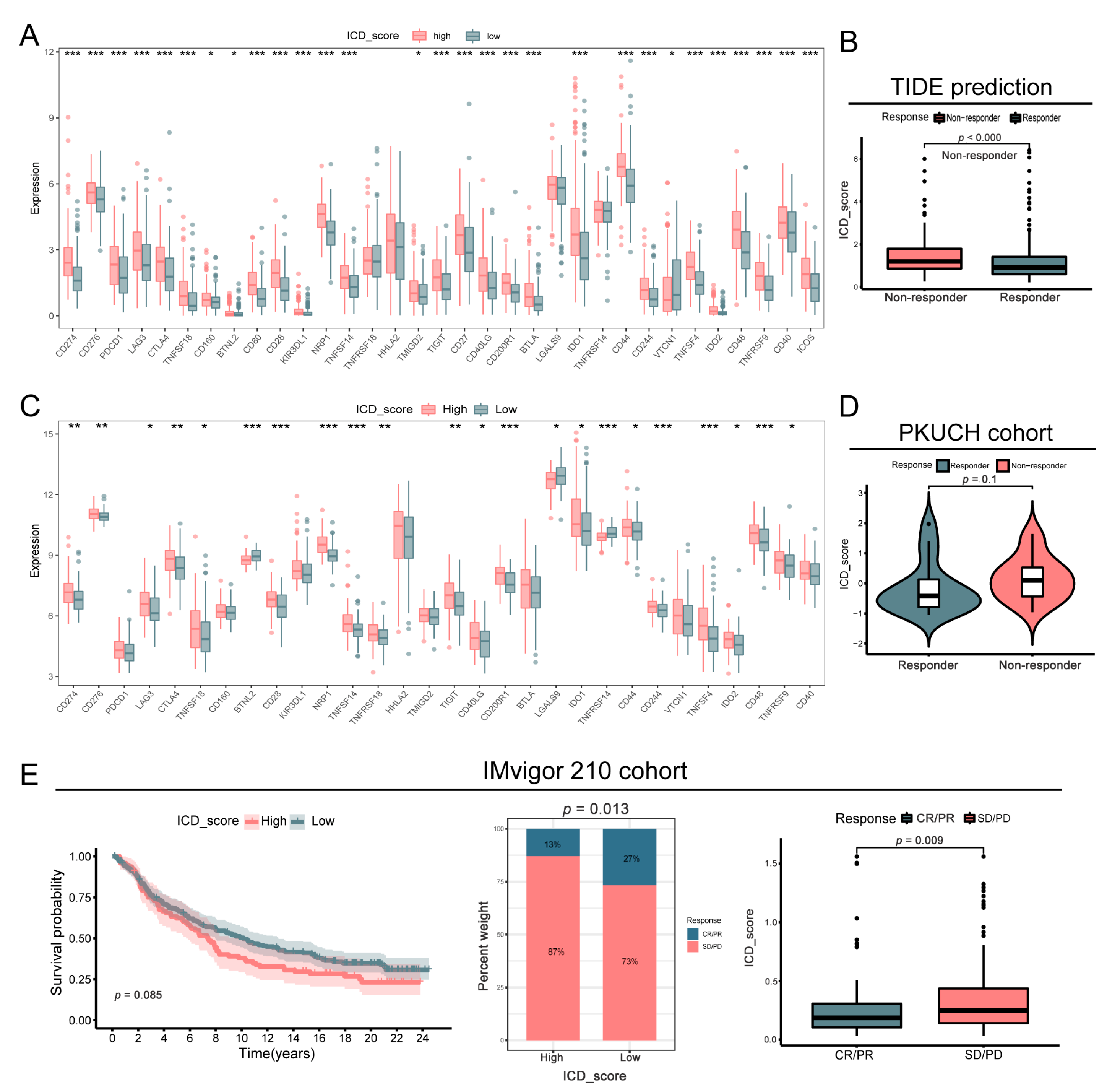 Biomolecules 13 00528 g008