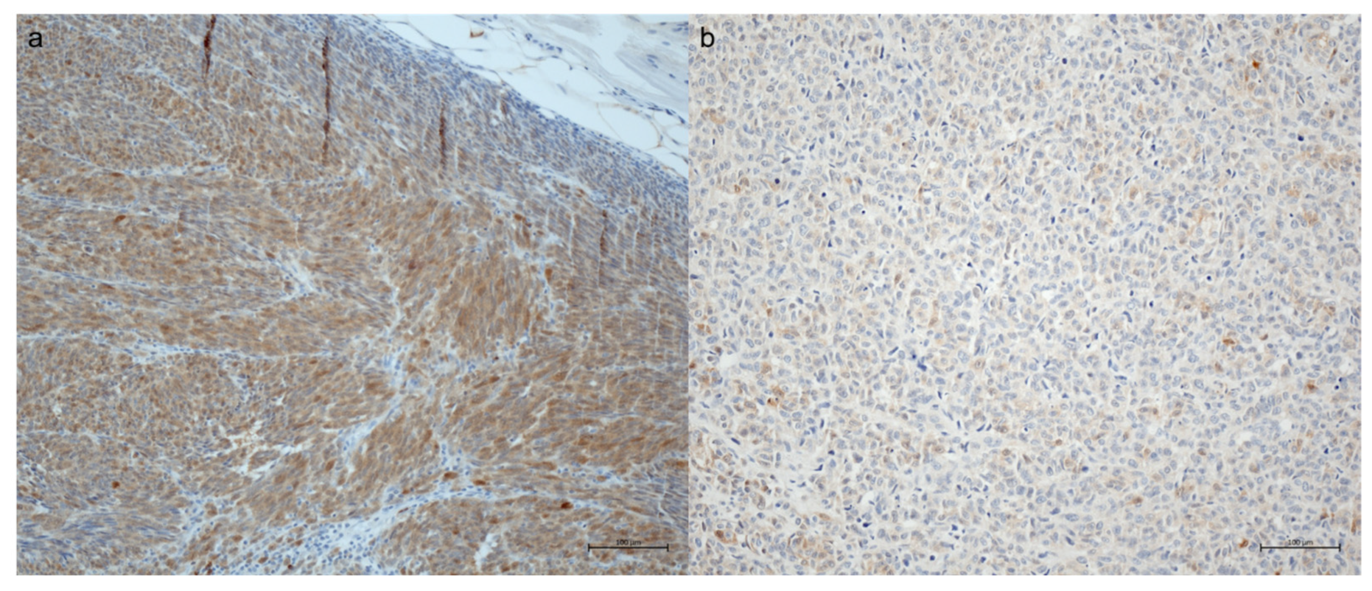 Biomolecules 13 00529 g001