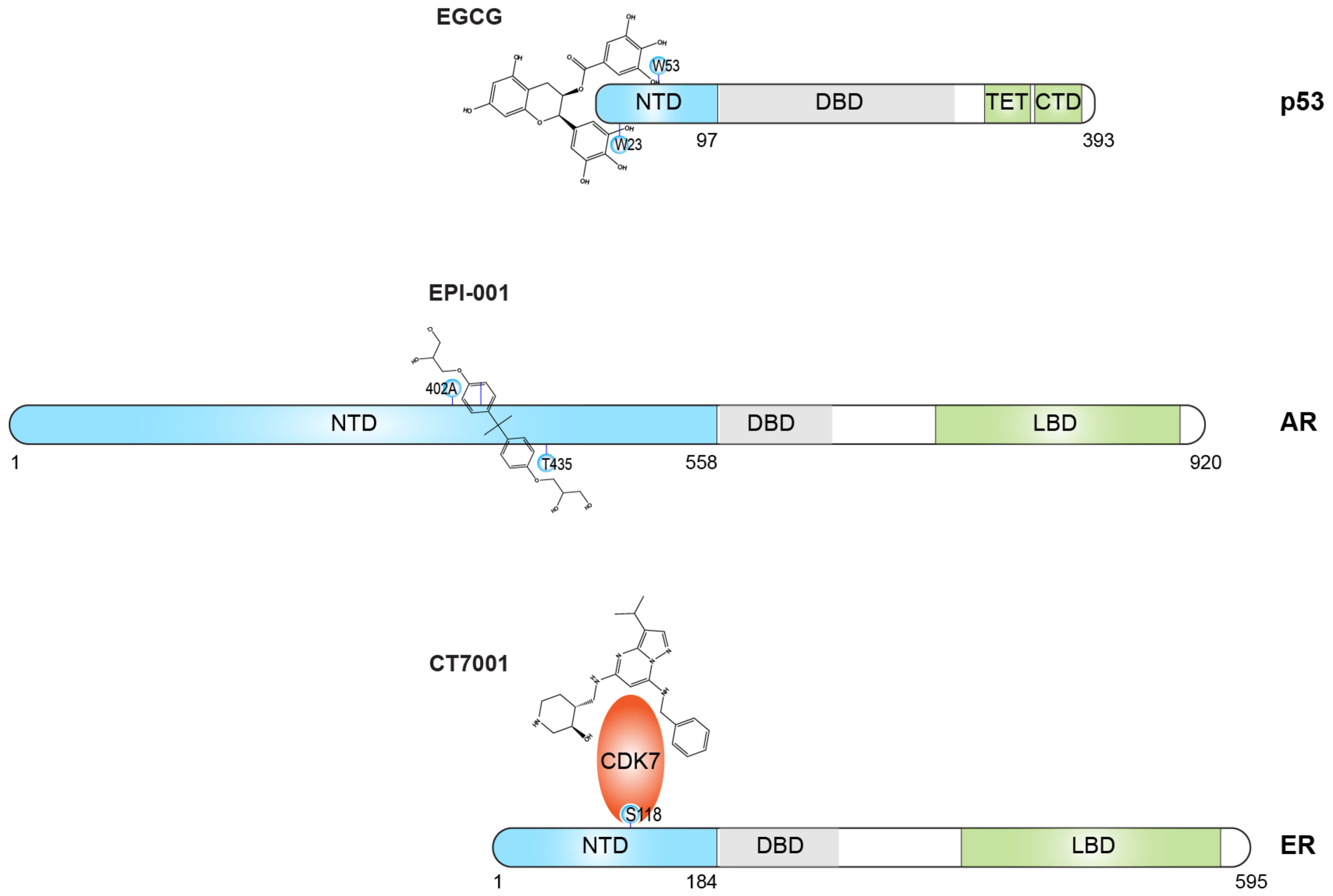 Biomolecules 13 00530 g004