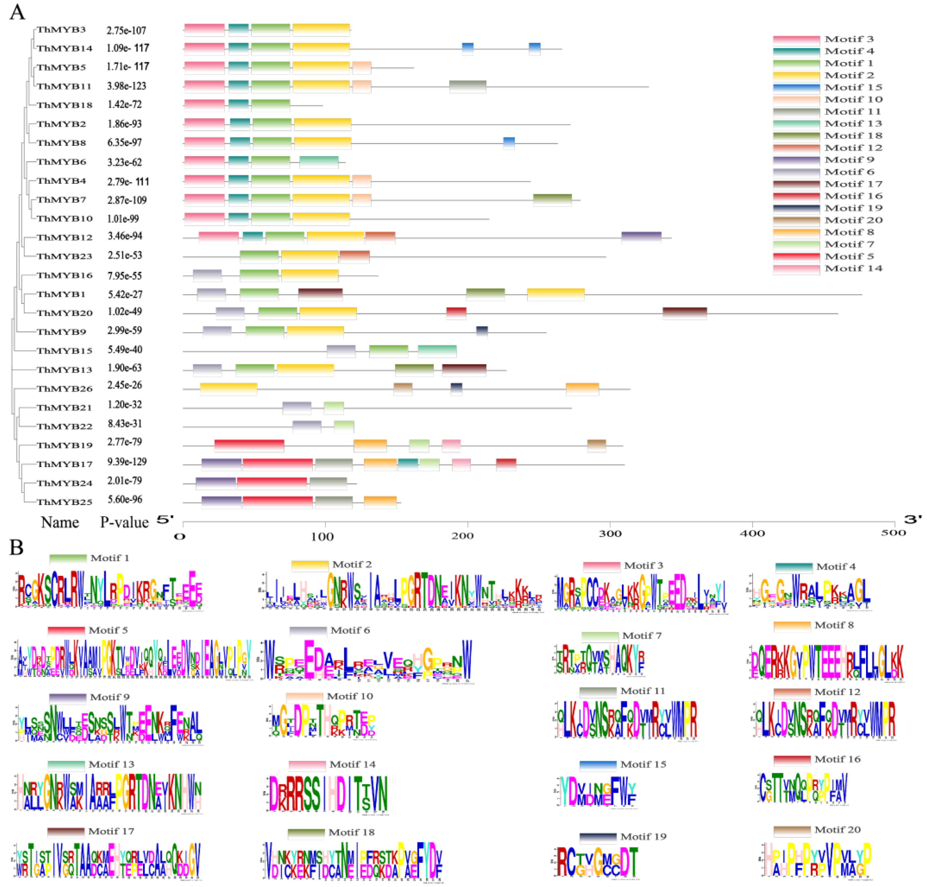 Biomolecules 13 00531 g001