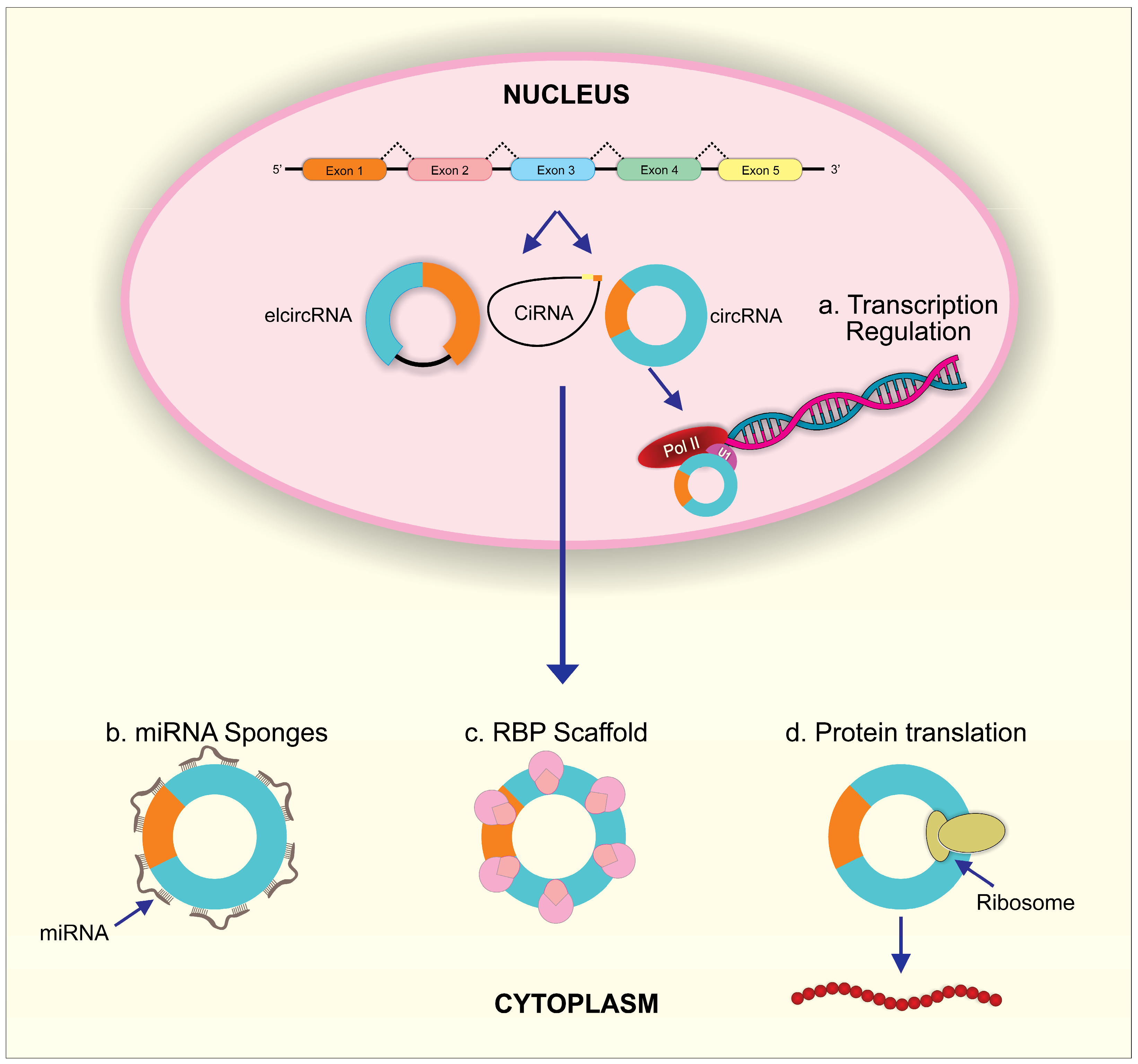 Biomolecules 13 00533 g002