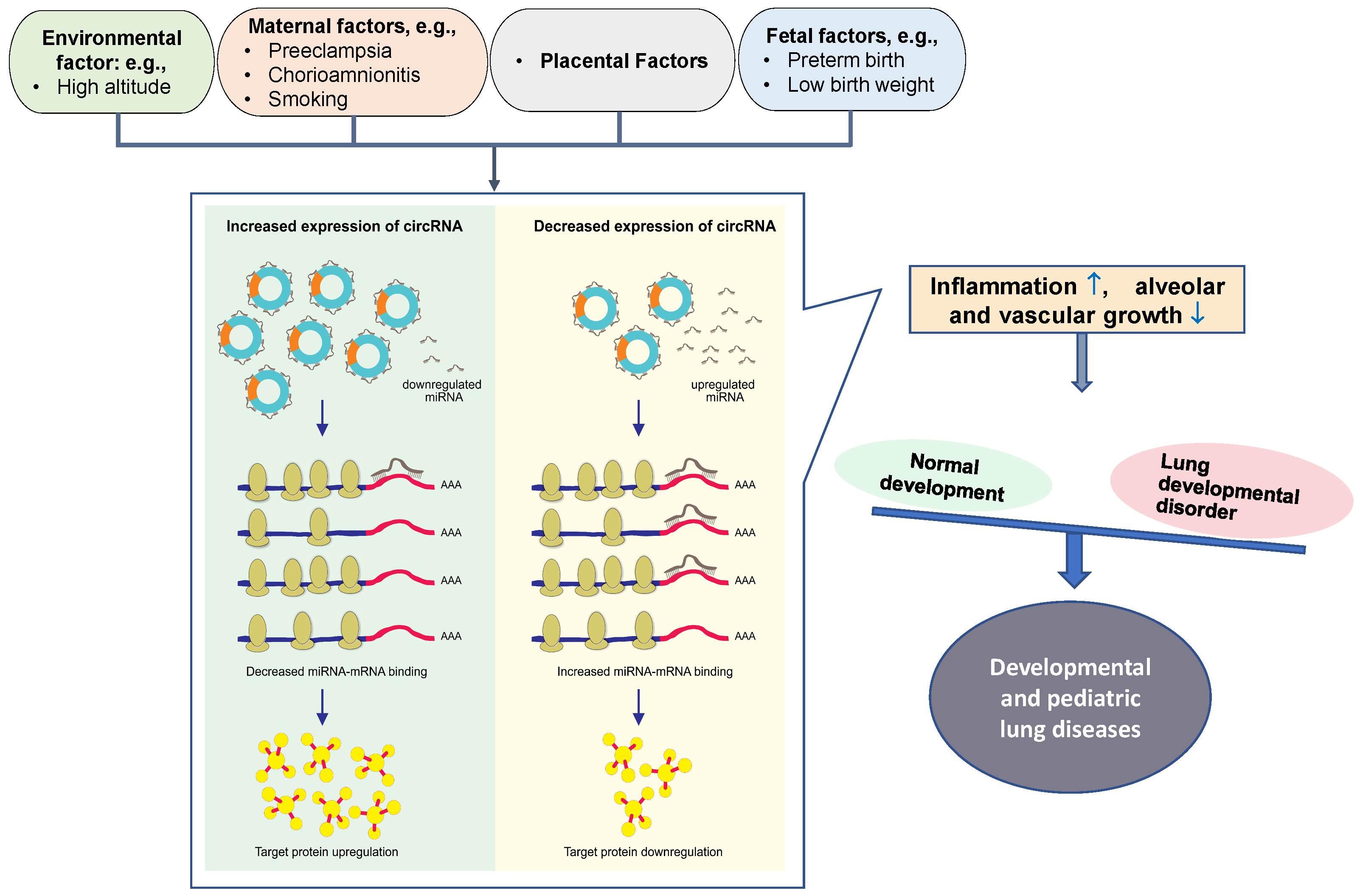 Biomolecules 13 00533 g003