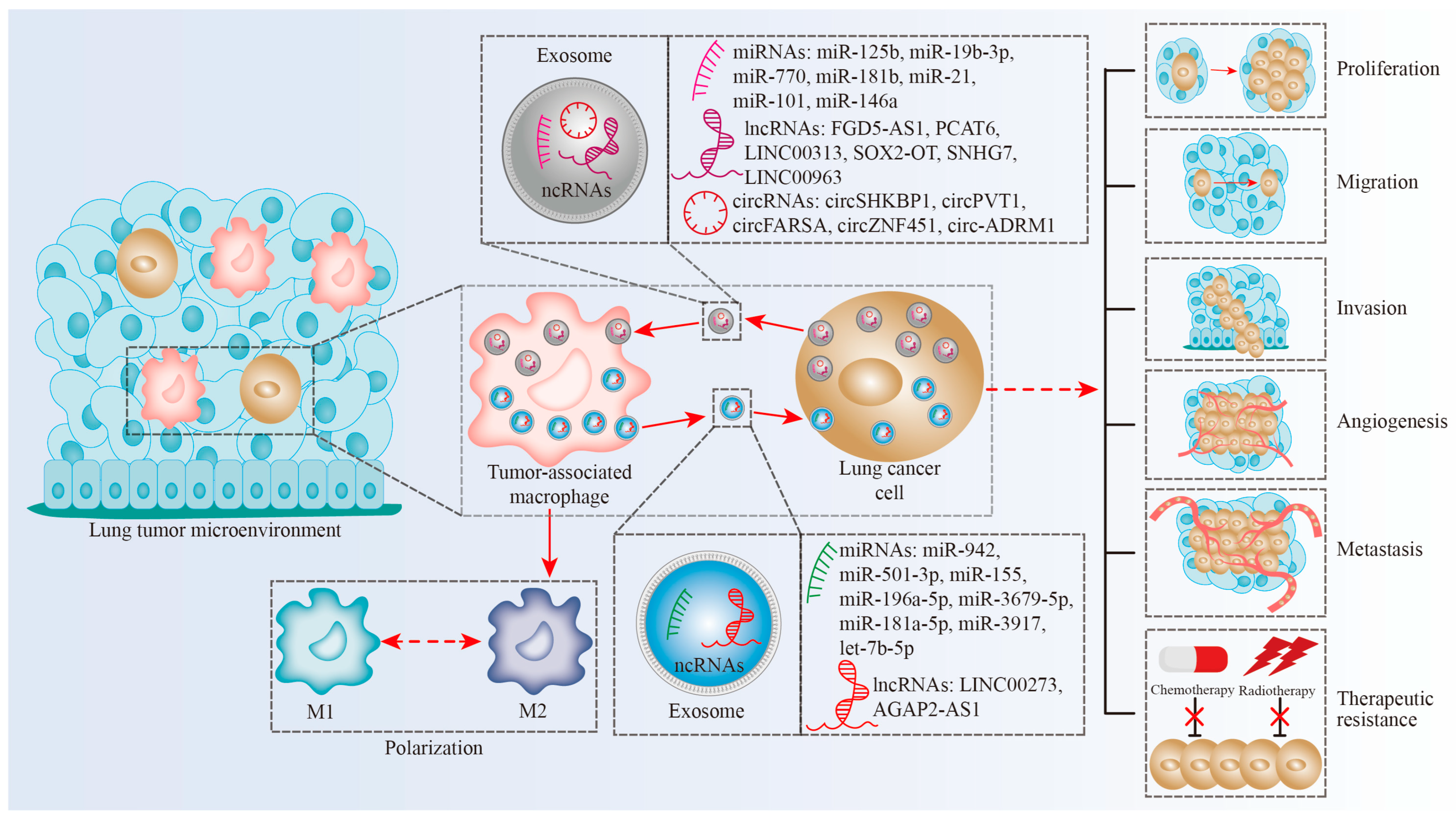Biomolecules 13 00536 g001 Biomolecules 13 00536 g001