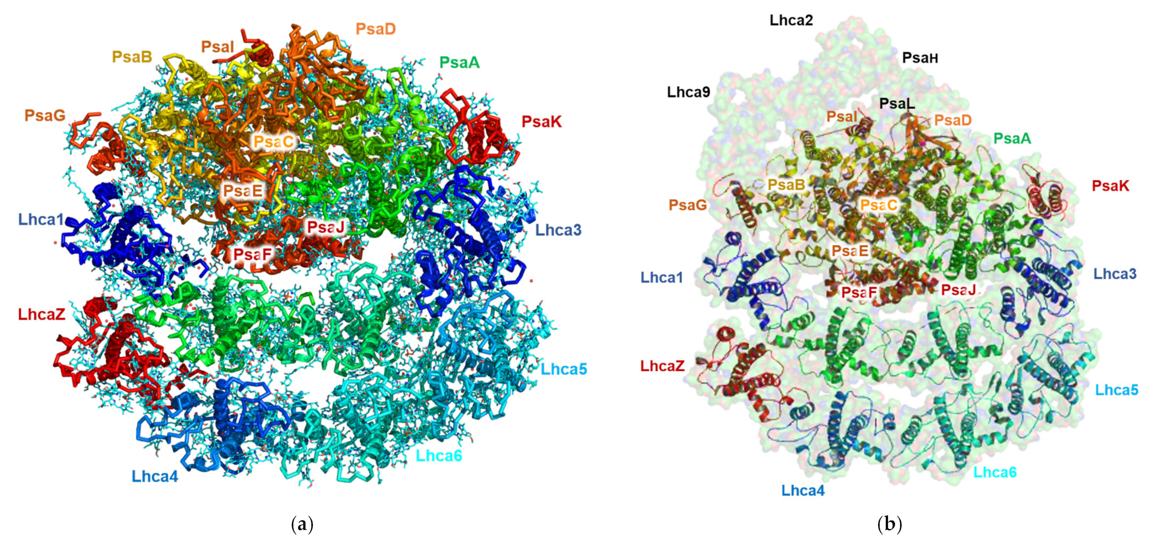 Biomolecules 13 00537 g006