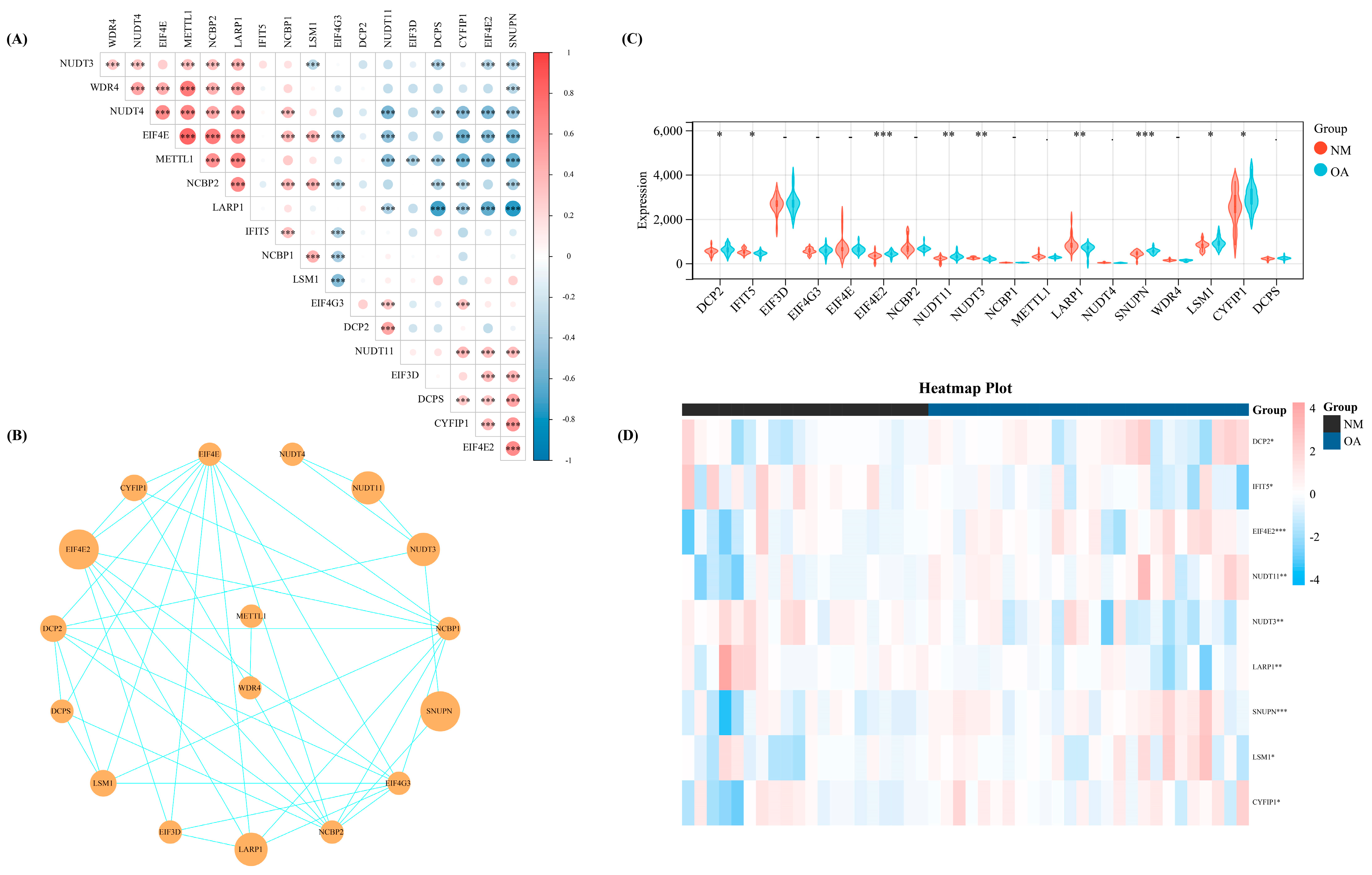 Biomolecules 13 00539 g001