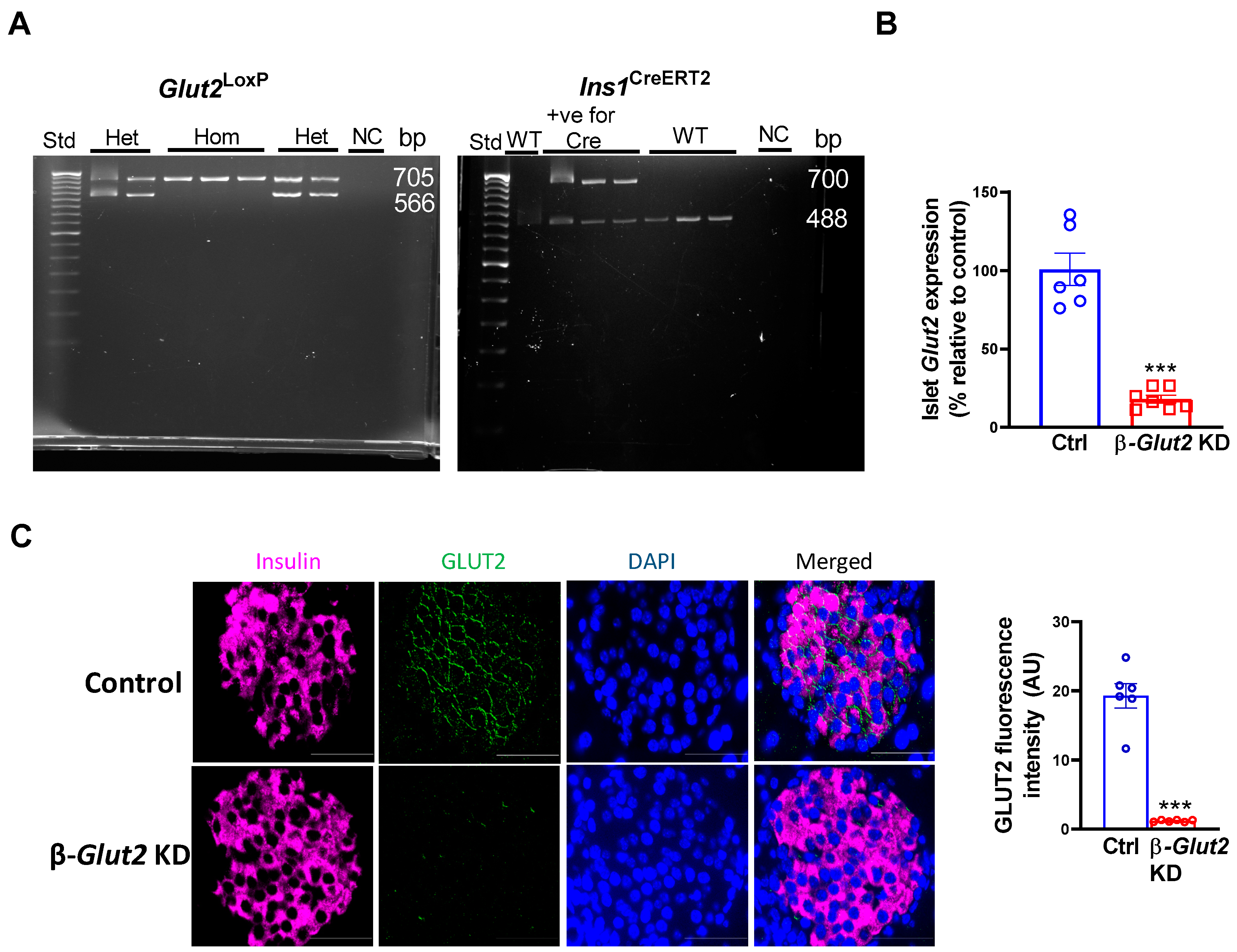 Biomolecules 13 00540 g001
