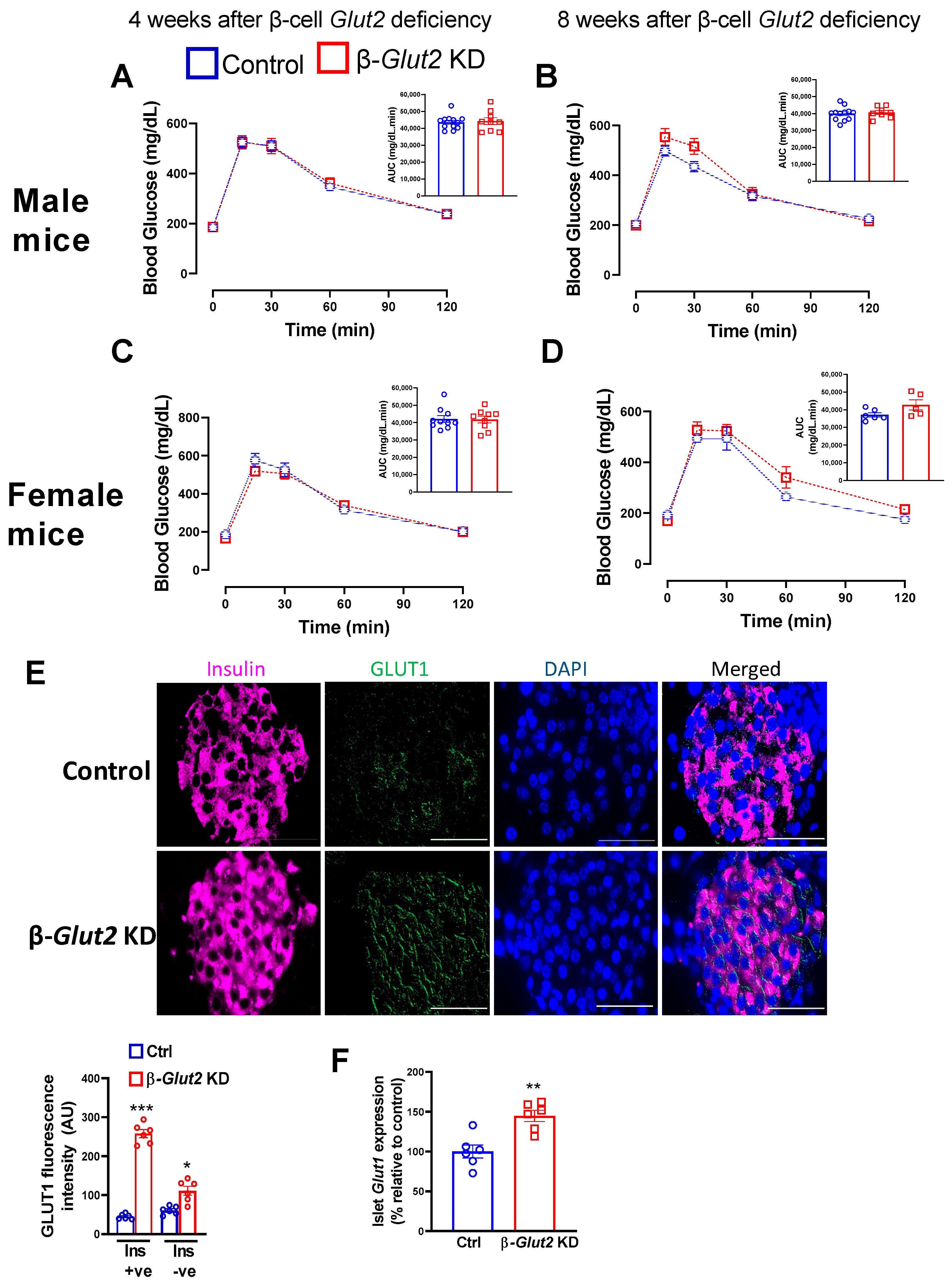 Biomolecules 13 00540 g003