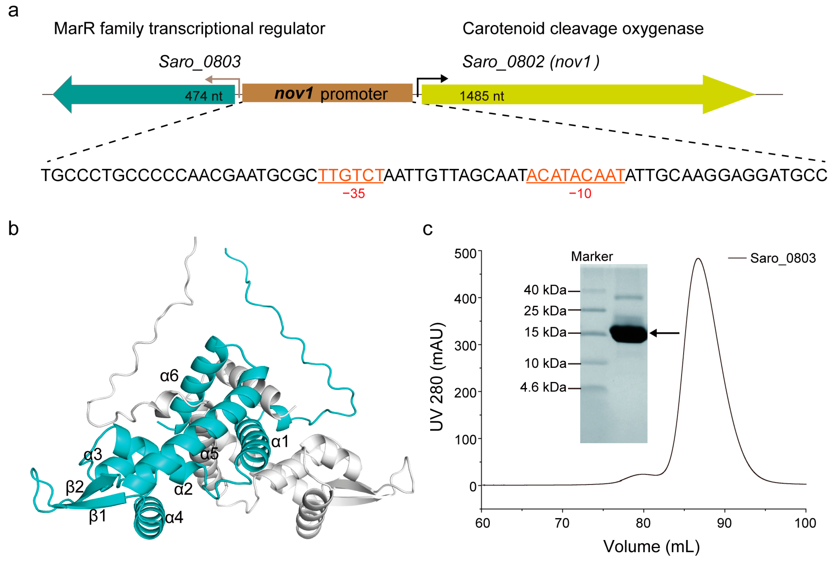 Biomolecules 13 00541 g001