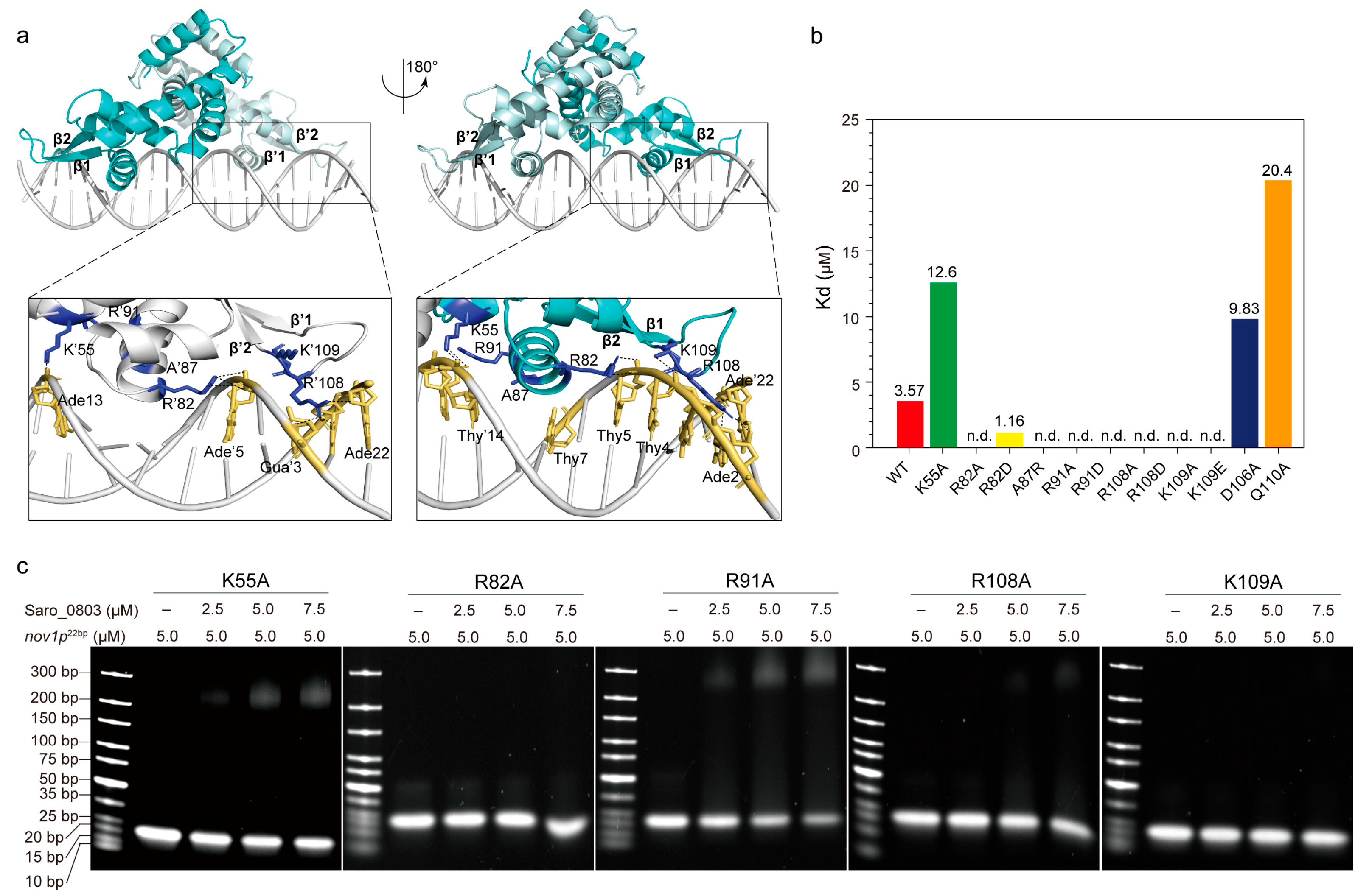 Biomolecules 13 00541 g004