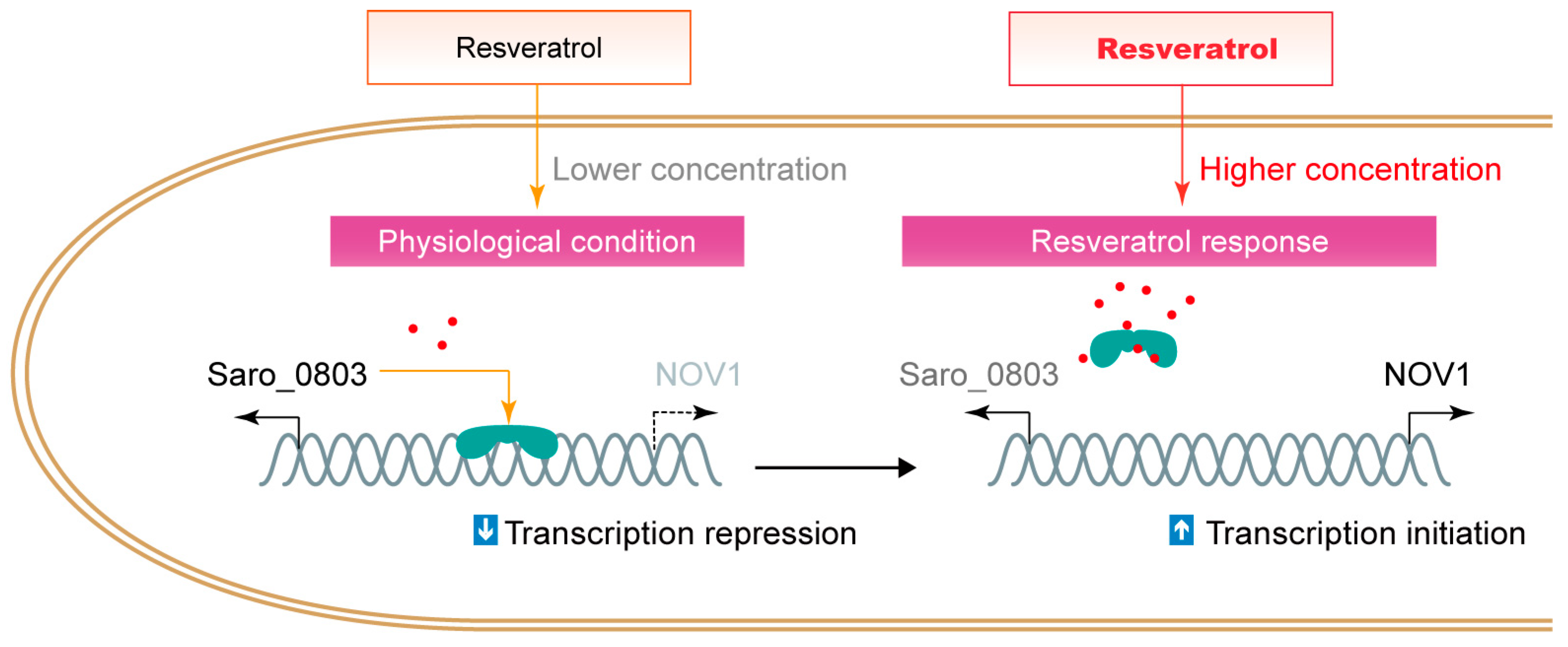 Biomolecules 13 00541 g006