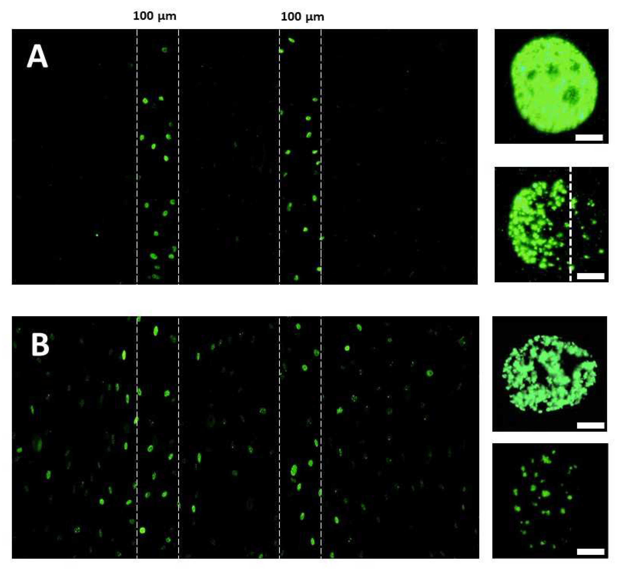 Biomolecules 13 00542 g002
