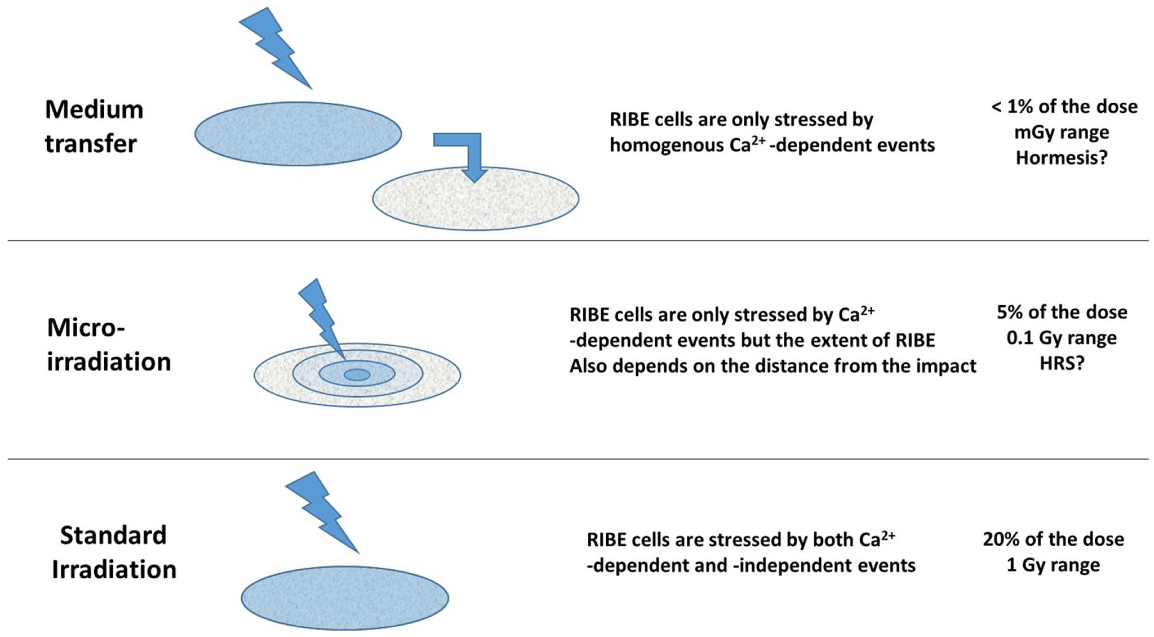 Biomolecules 13 00542 g010