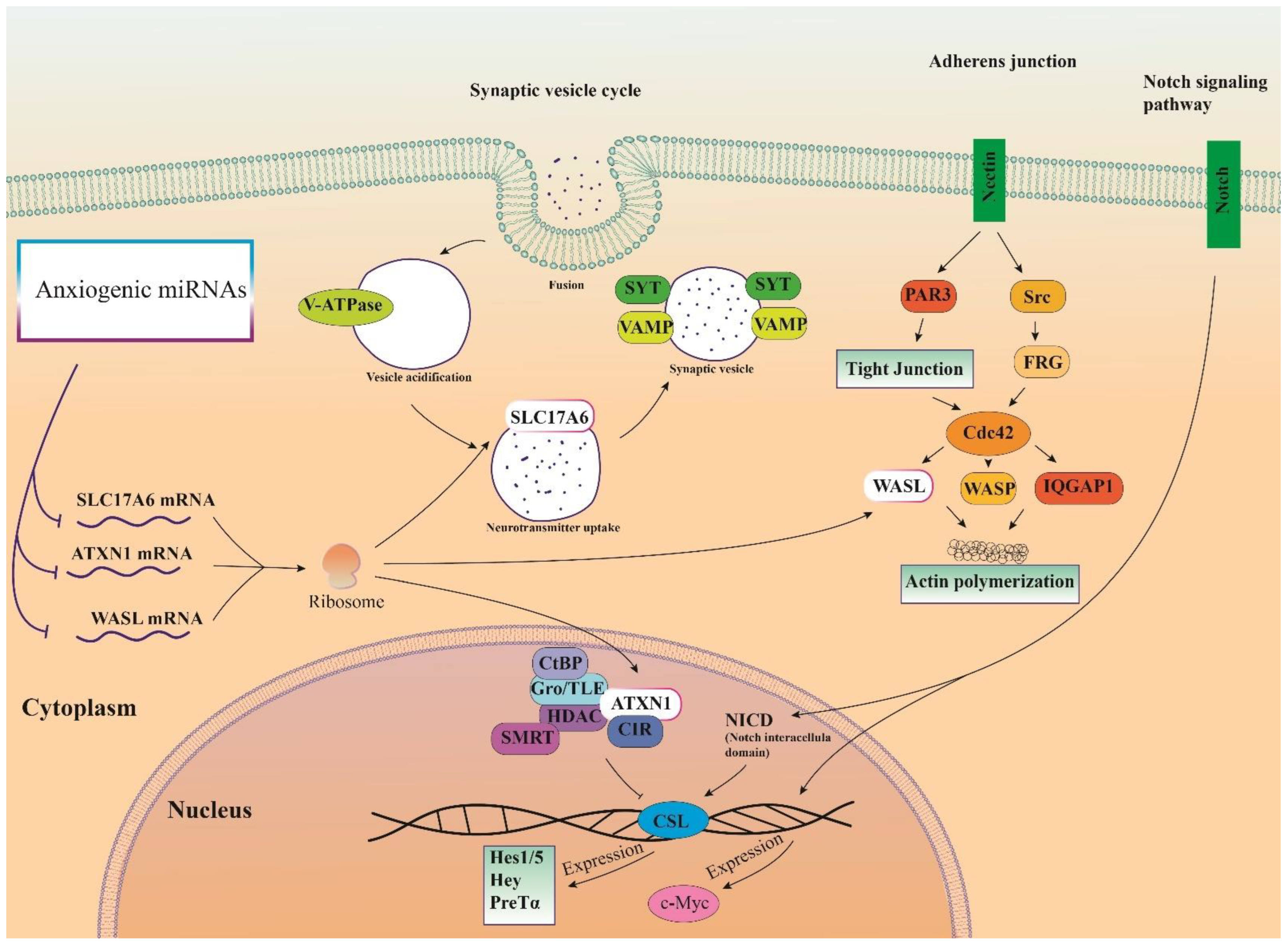 Biomolecules 13 00544 g004