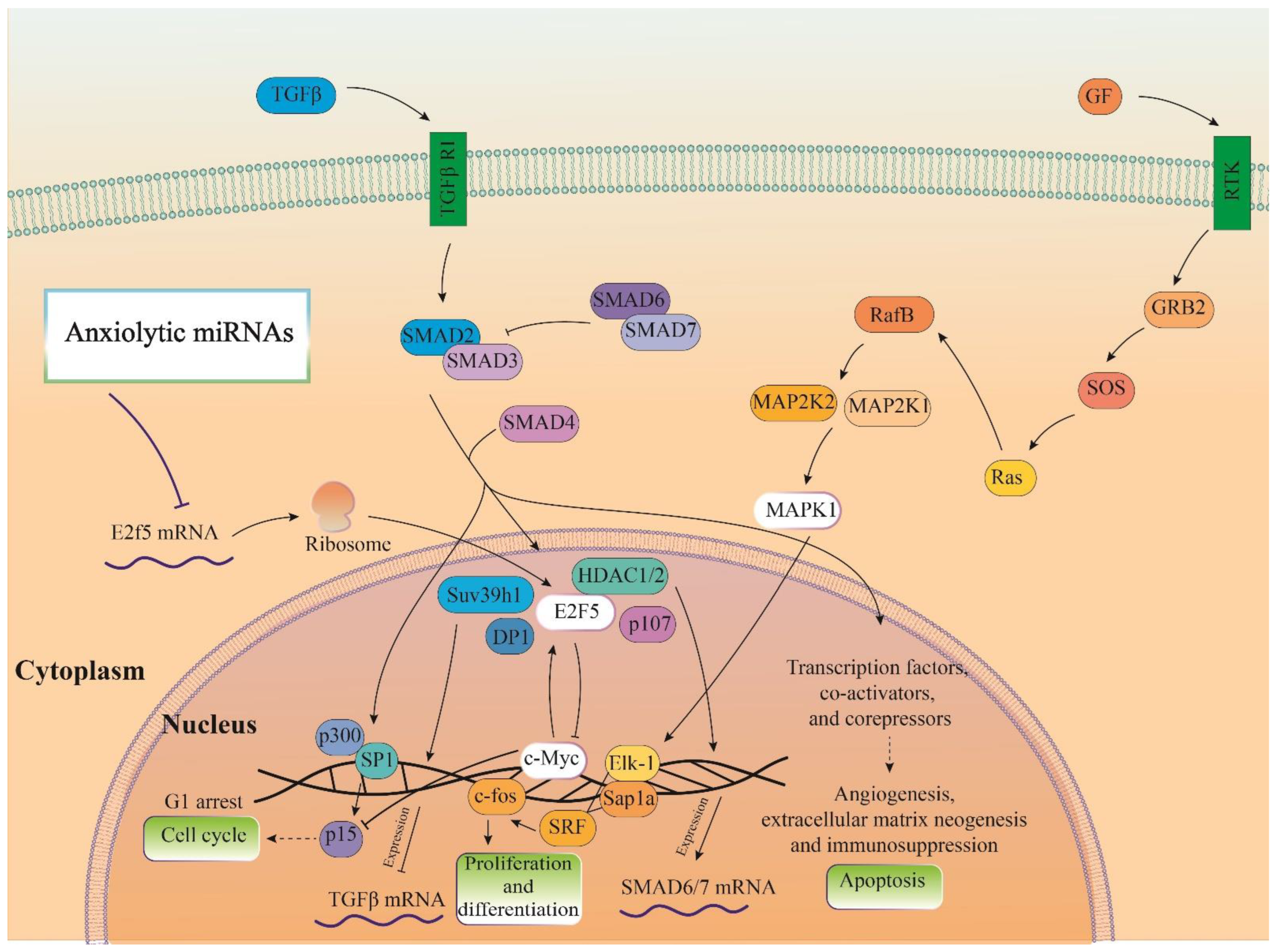 Biomolecules 13 00544 g006