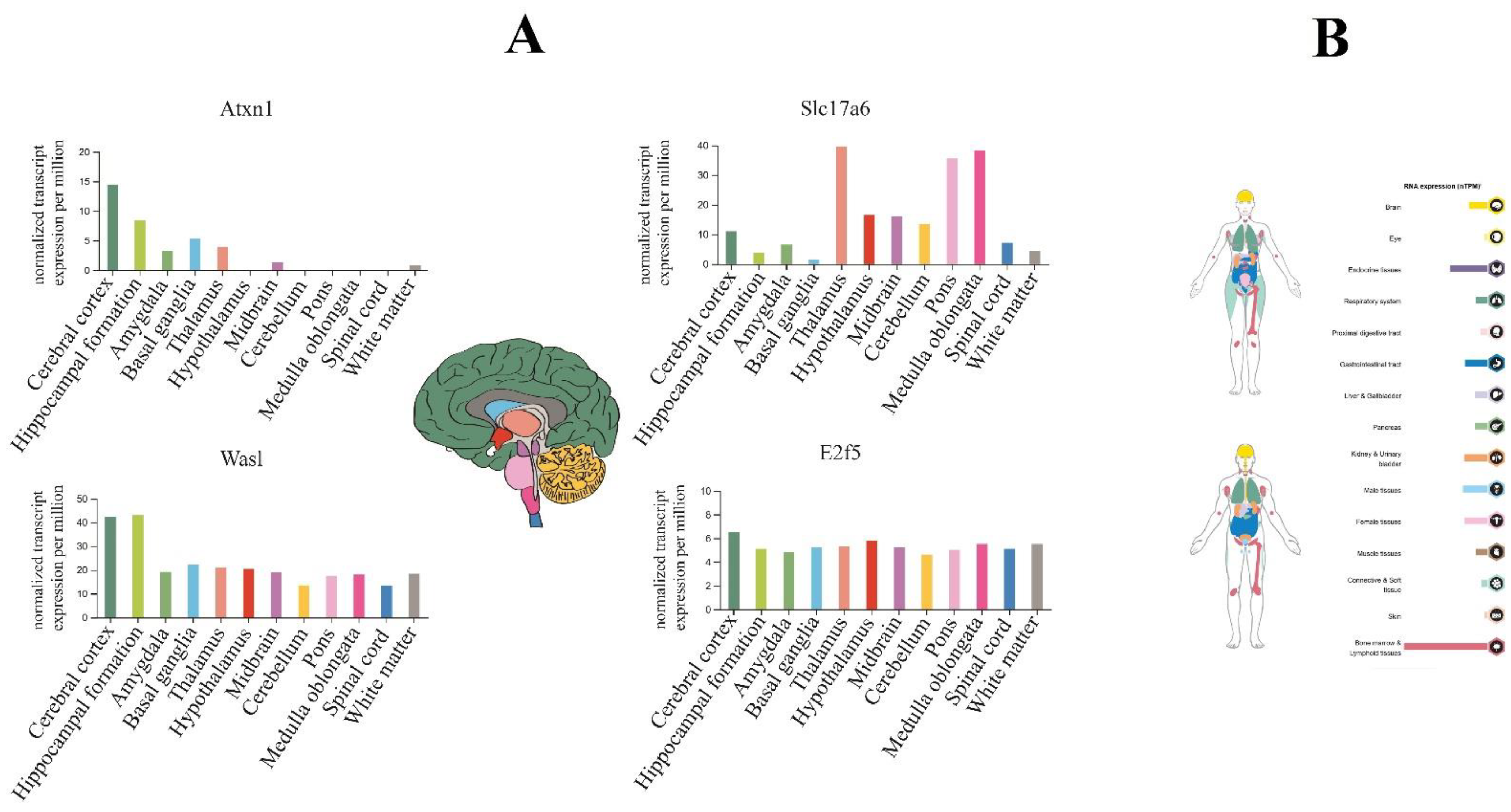 Biomolecules 13 00544 g008